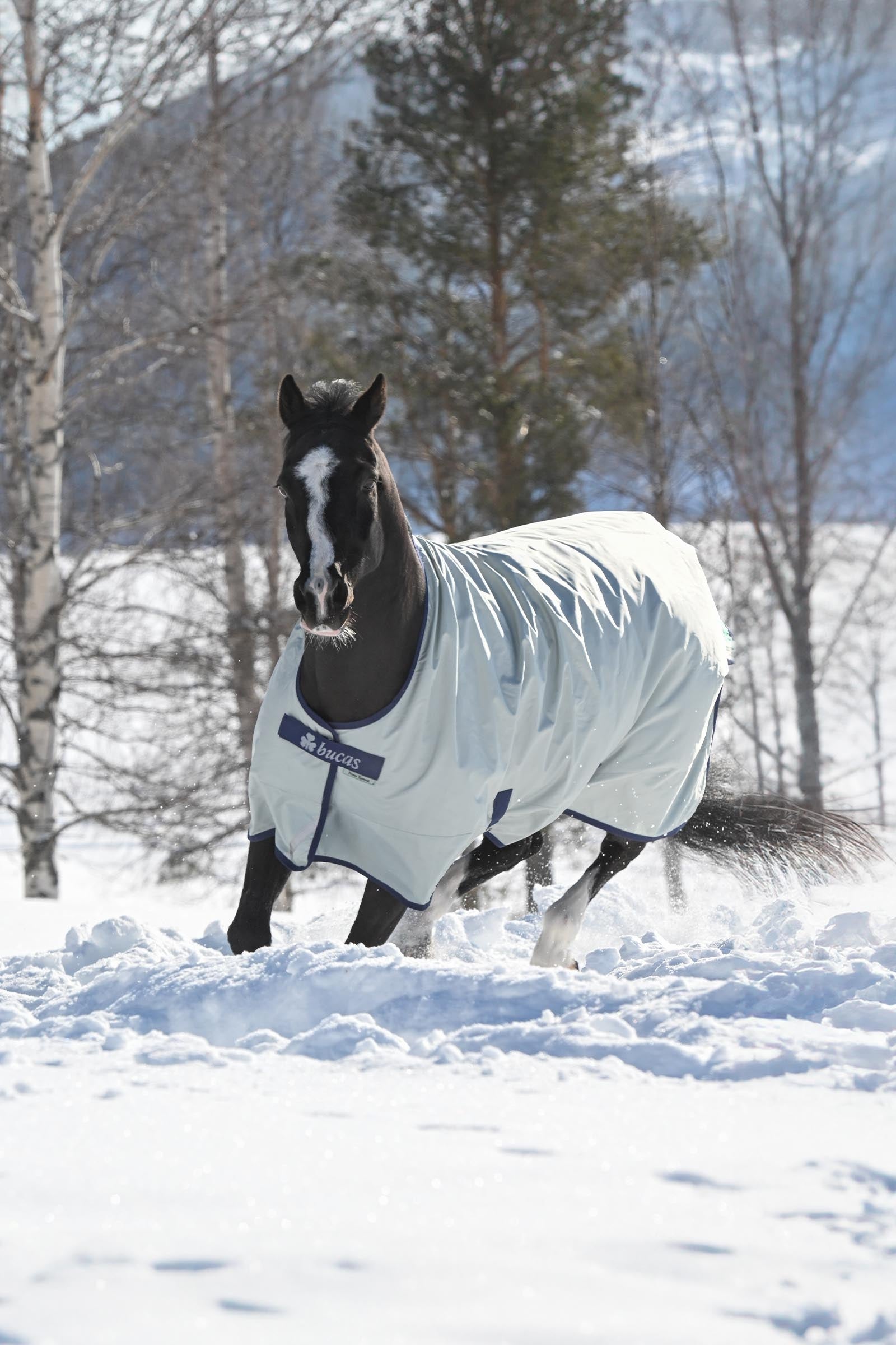 Lifestyle shot 3
