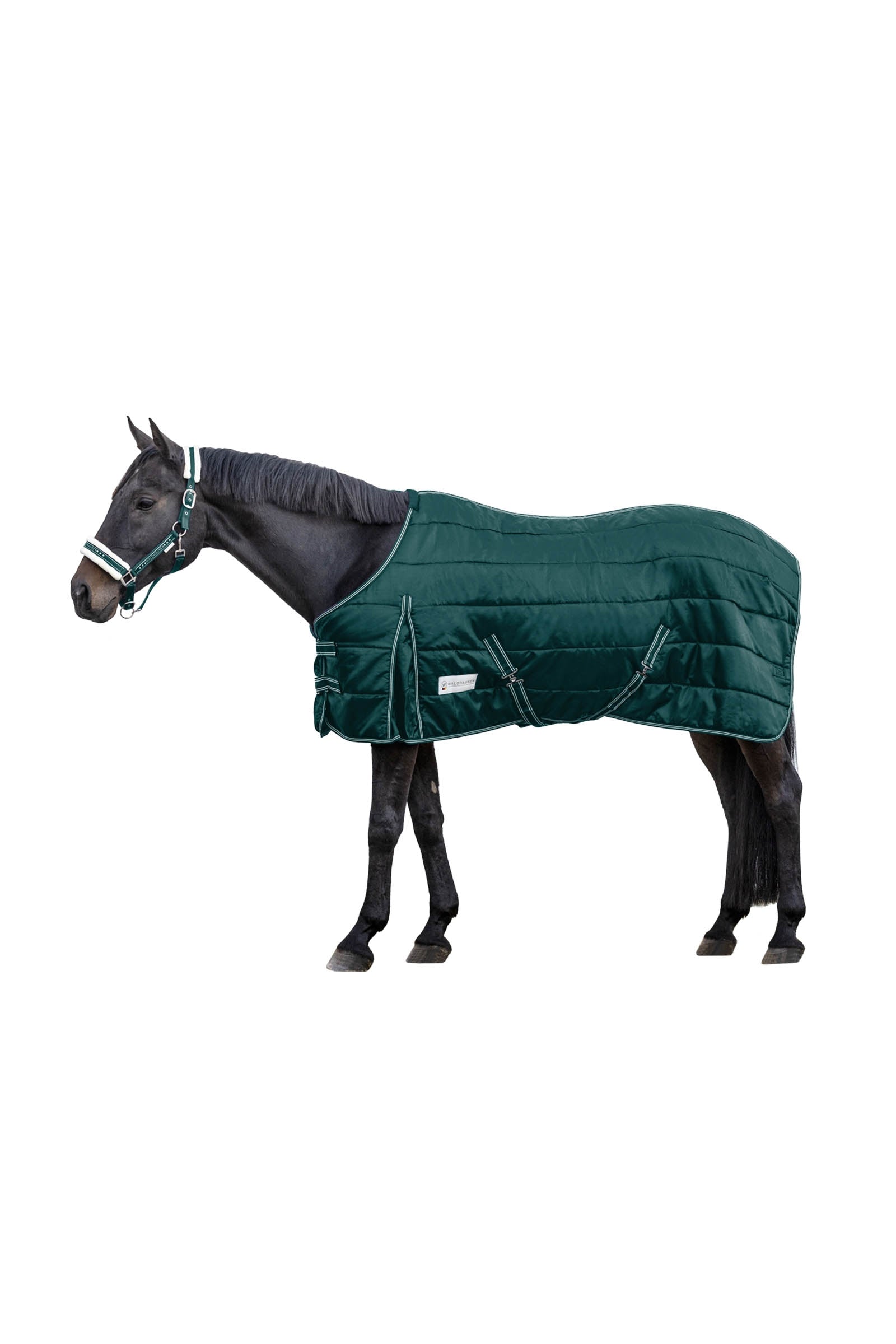 Waldhausen Stable Rug Economic 100 g Derki