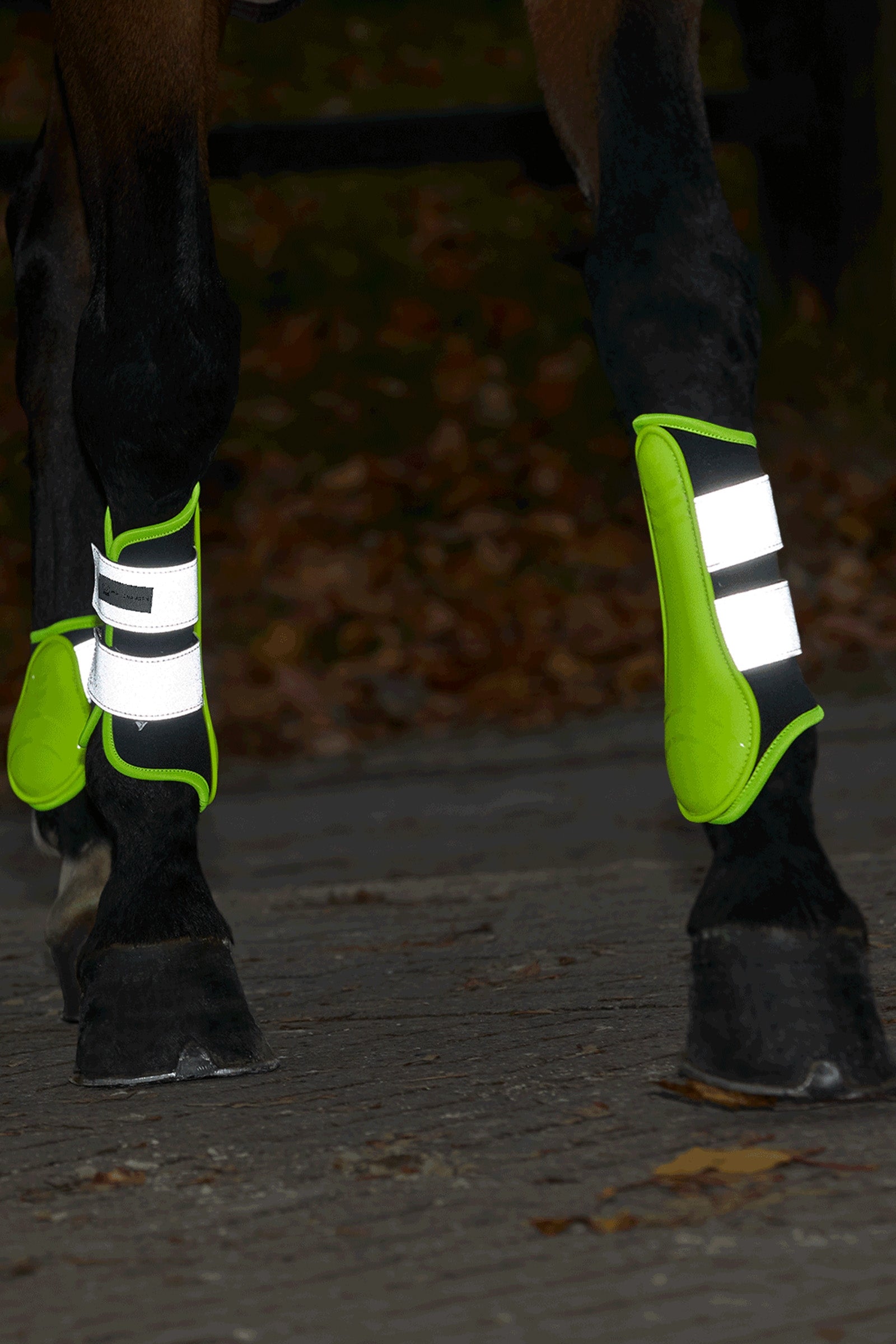 Waldhausen Reflex Boots Leg & Hoof Protection