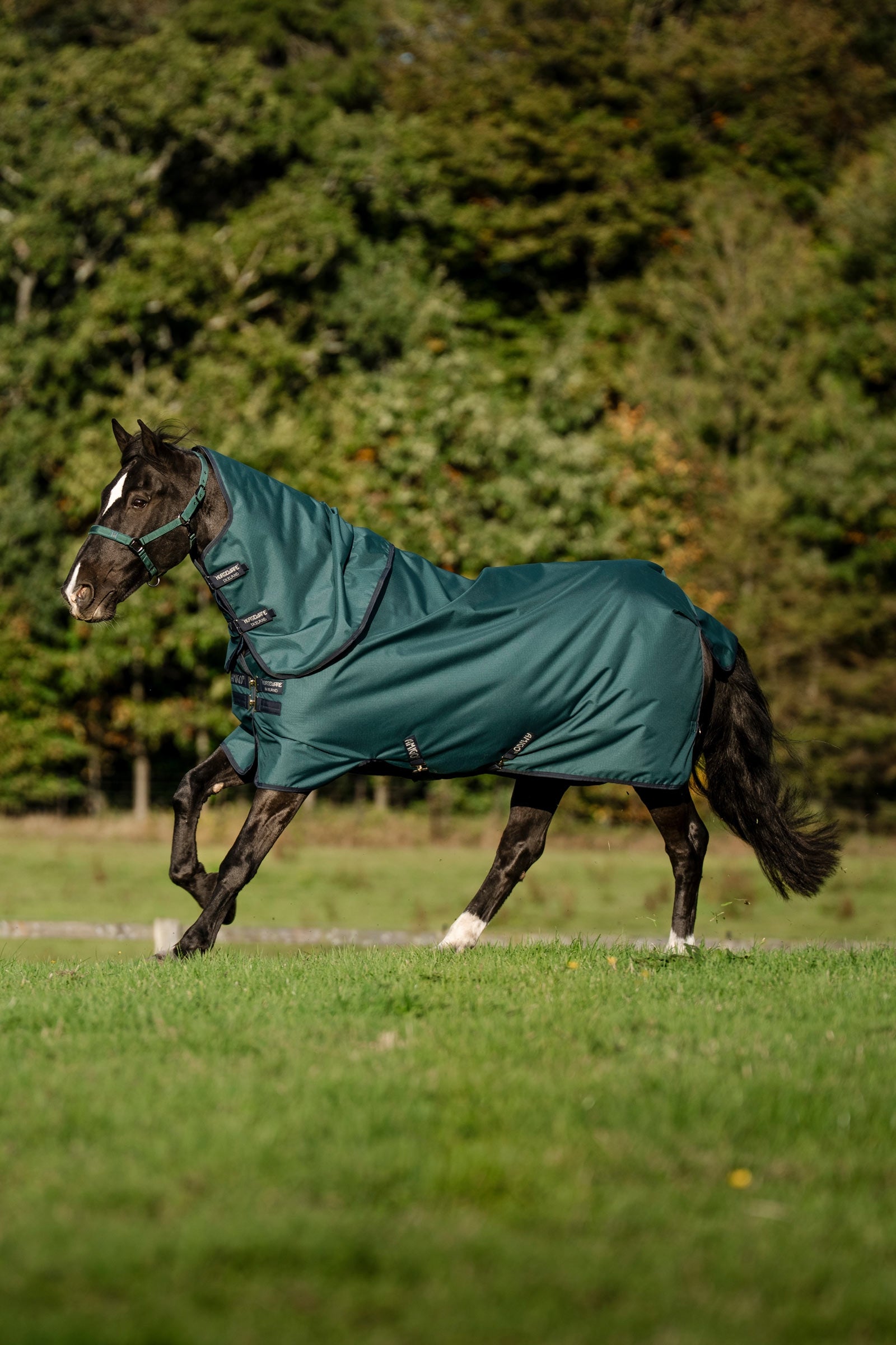 Horseware Amigo Ripstop 900D Plus Pony Turnout Rug, 50 g Horse Rugs