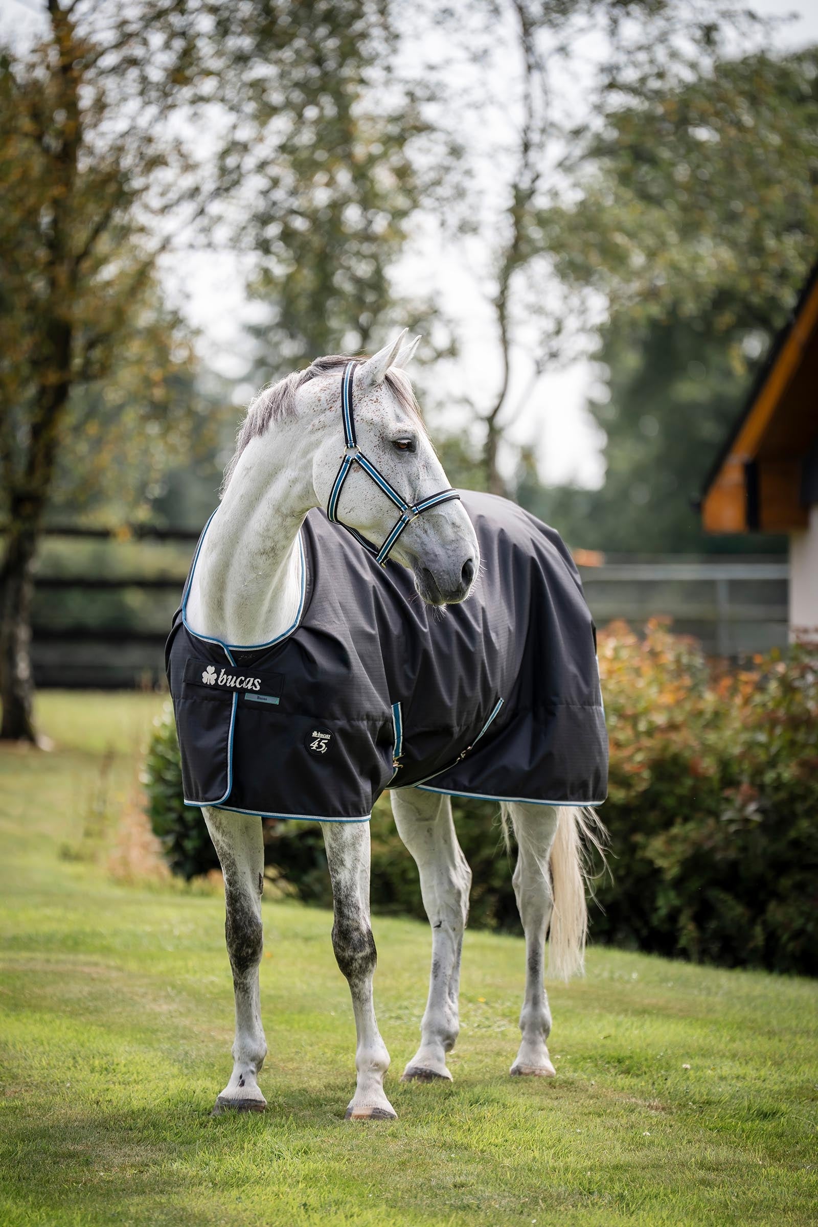 Bucas Anniversary Light SD Turnout Rug, 150g Horse Rugs