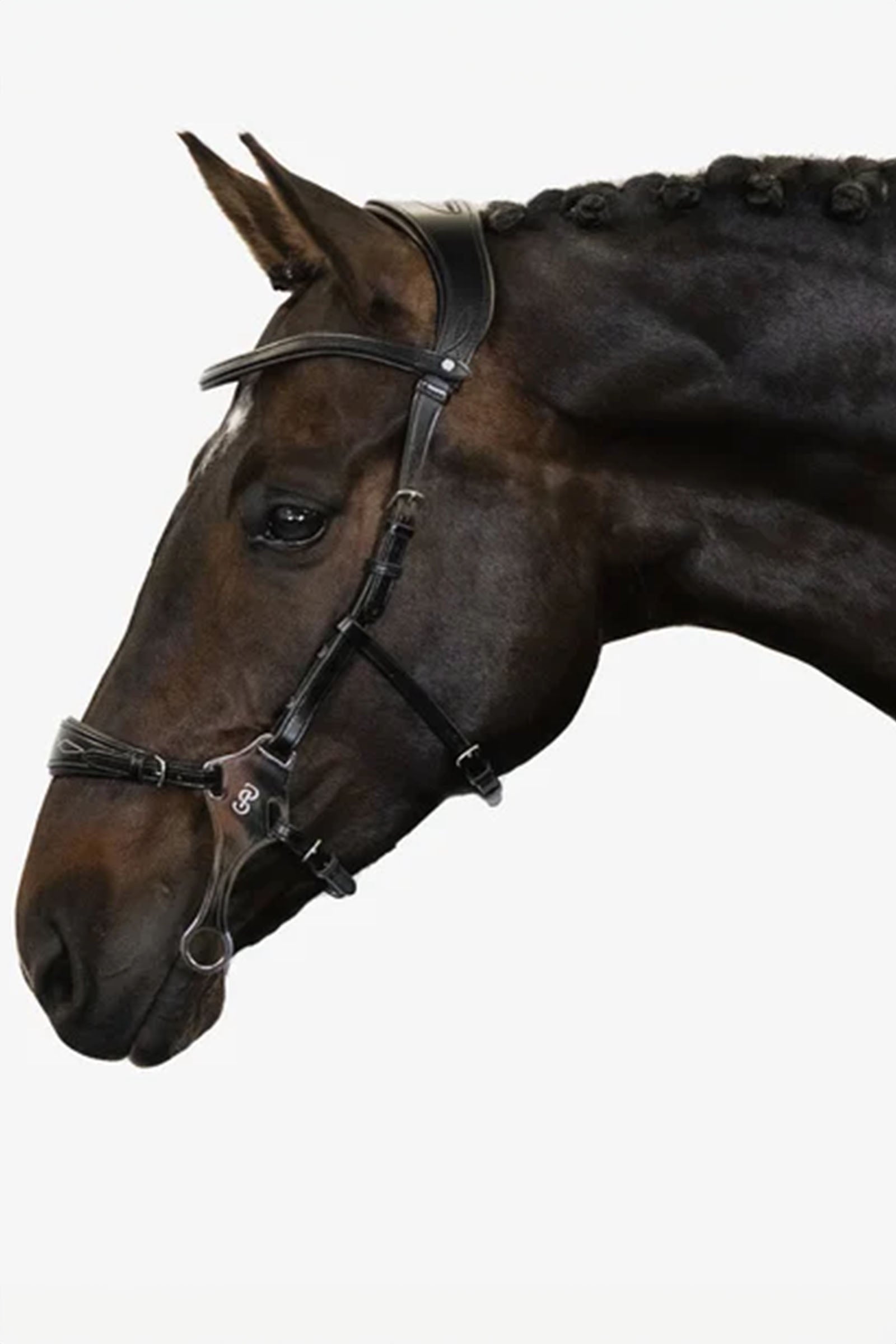 PS of Sweden Bridle Hackamore Sport Ogłowia i wodze