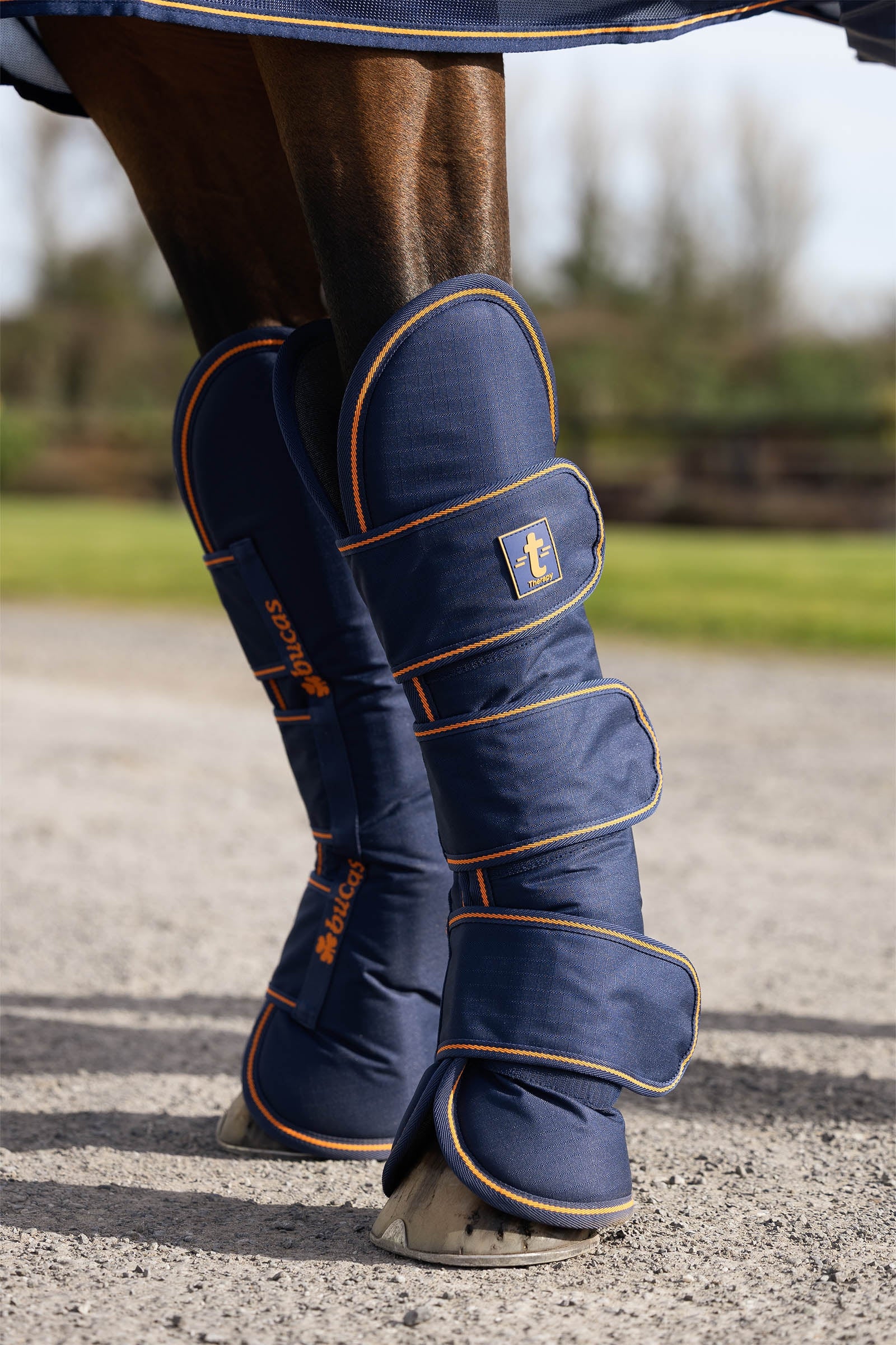 Bucas Ochraniacze transportowe Therapy (zestaw 4 sztuki) Leg & Hoof Protection
