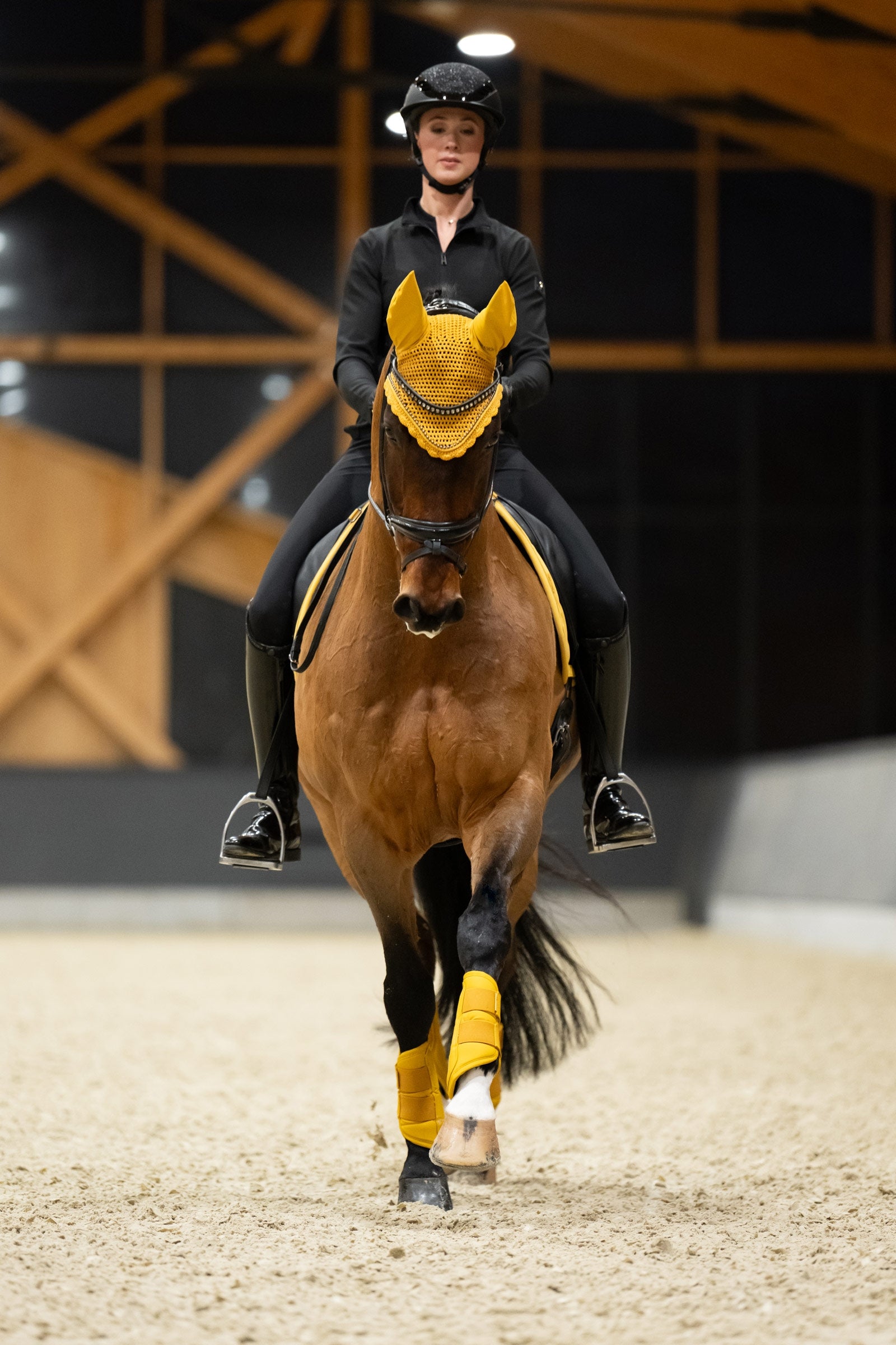 Eskadron Platinum 25 Faux Leather Tendon Boots Leg Protection & Hoof Protection for Horses