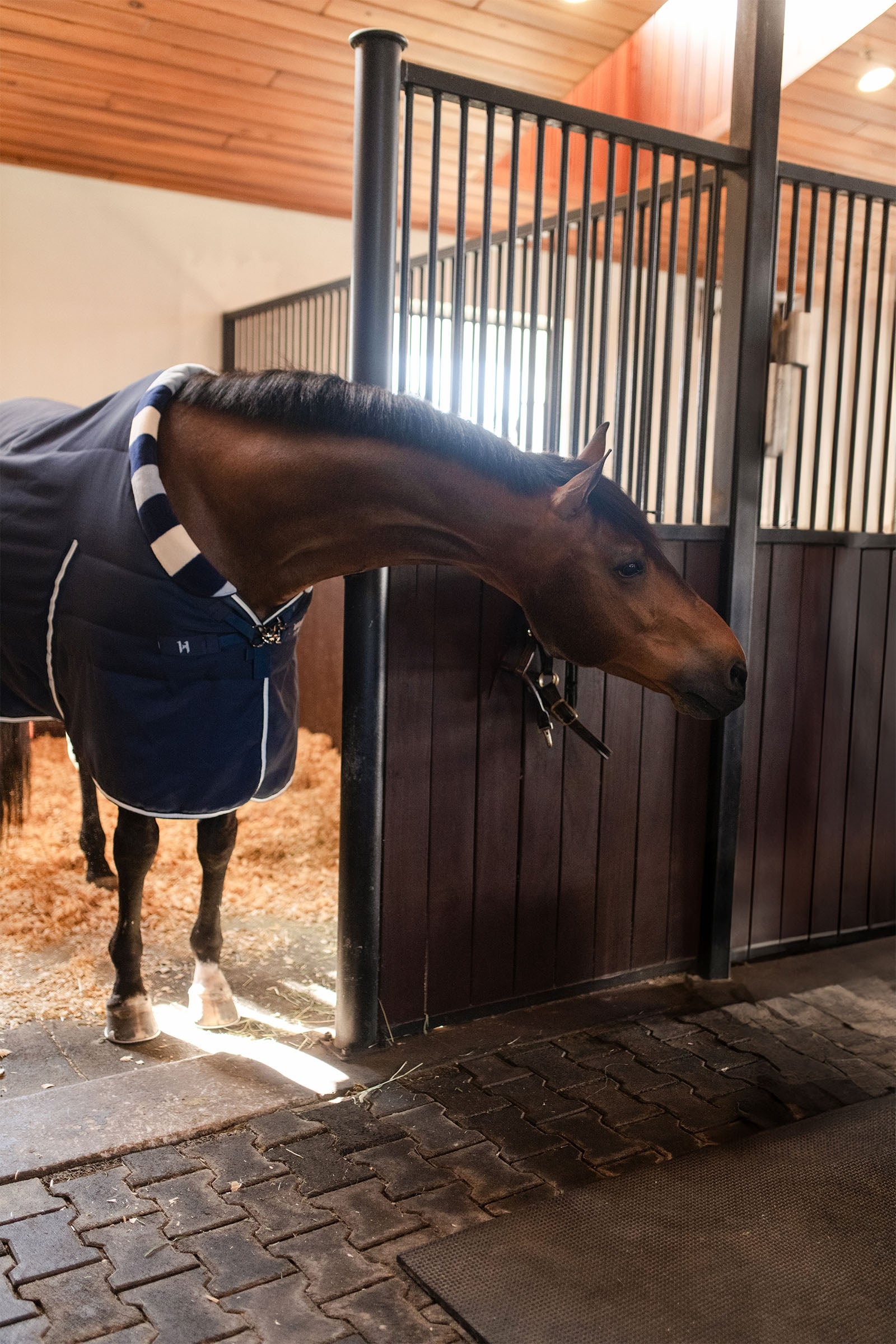 Horseware Newmarket Cosy Stable 100g Horse Rugs