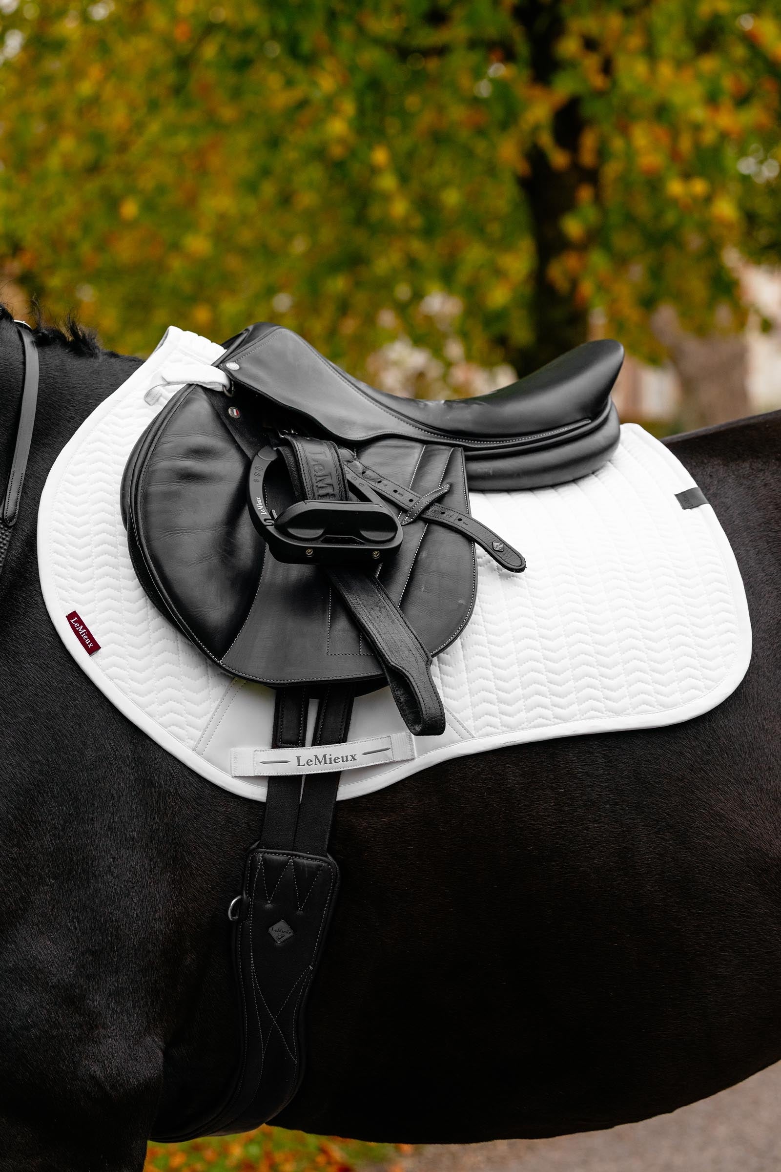 LeMieux Essence Eurojump Jumping Saddle Pad Saddle Pads