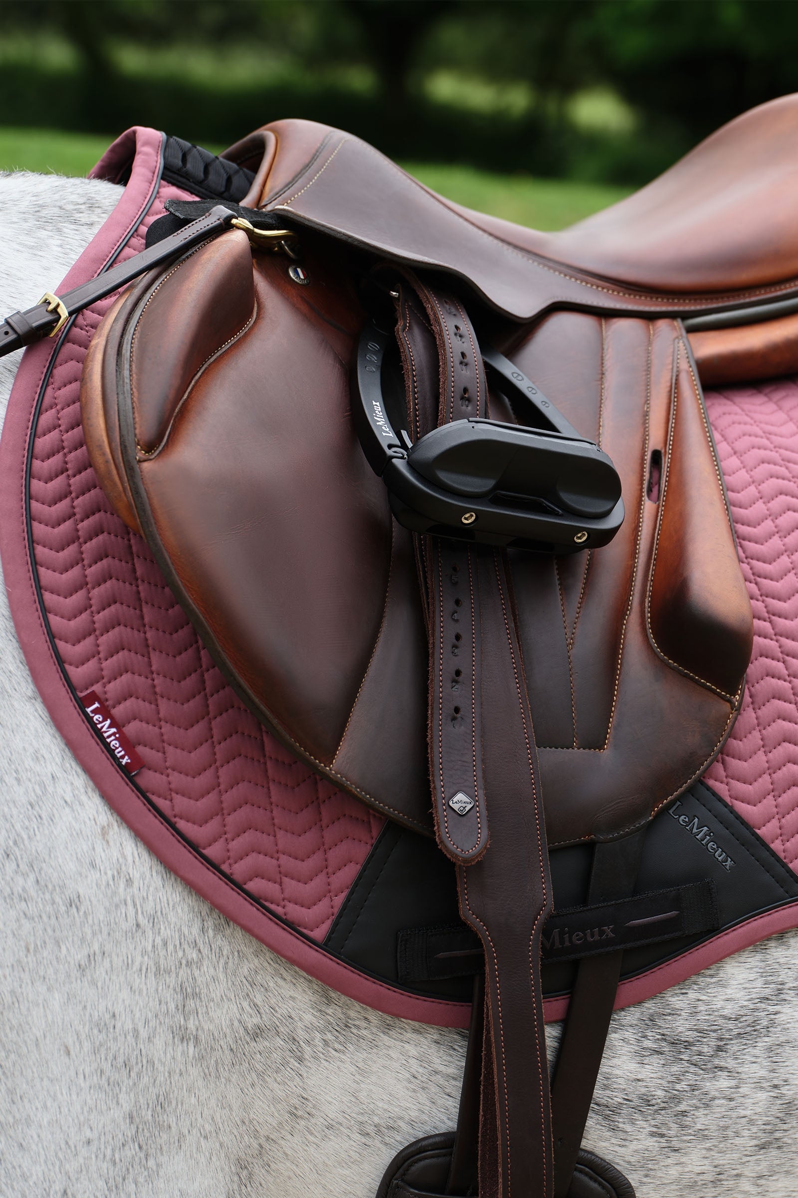 LeMieux Essence Eurojump Jumping Saddle Pad Saddle Pads