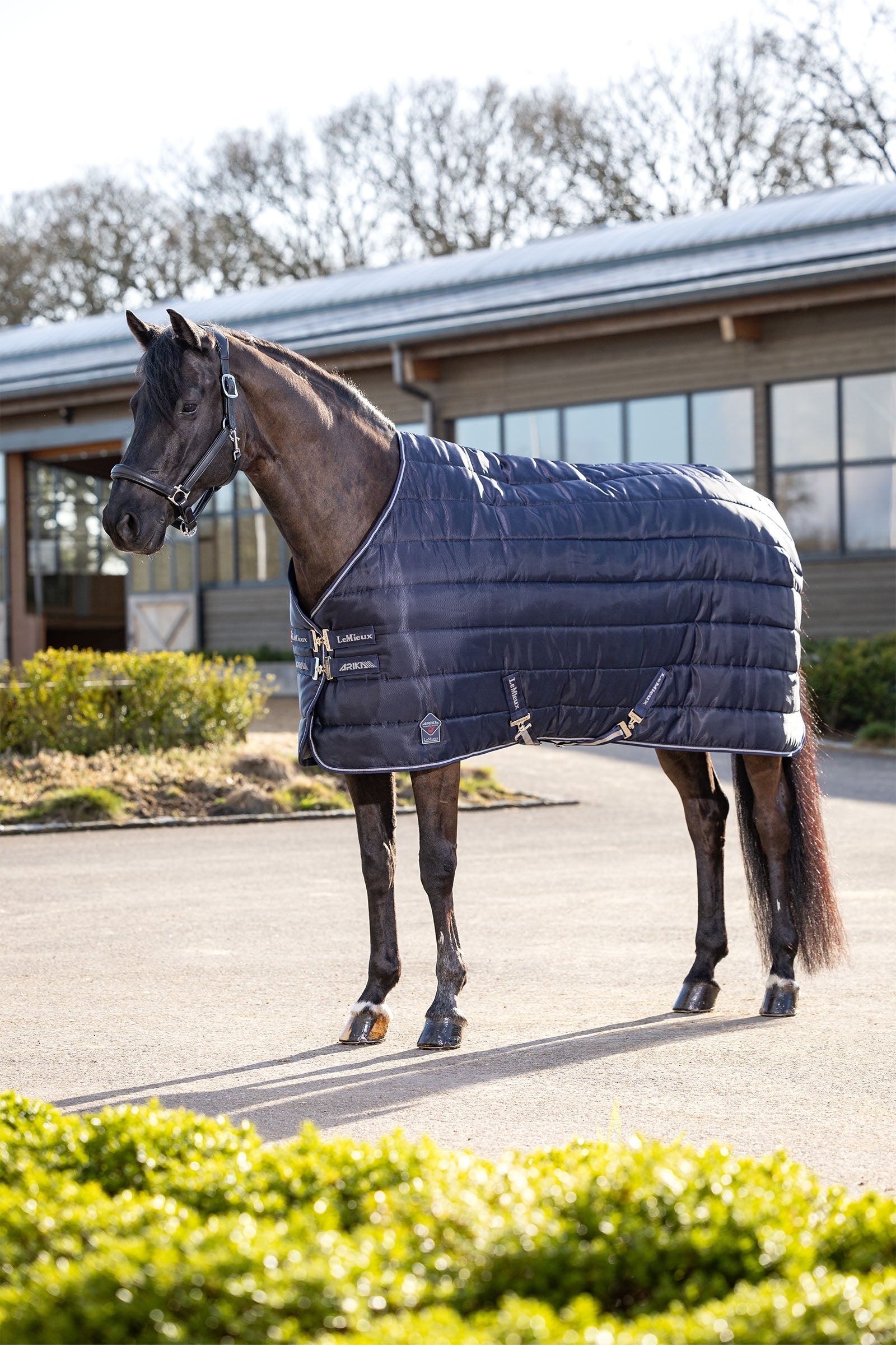 LeMieux Arika Stable-Tek 100g Horse Rugs