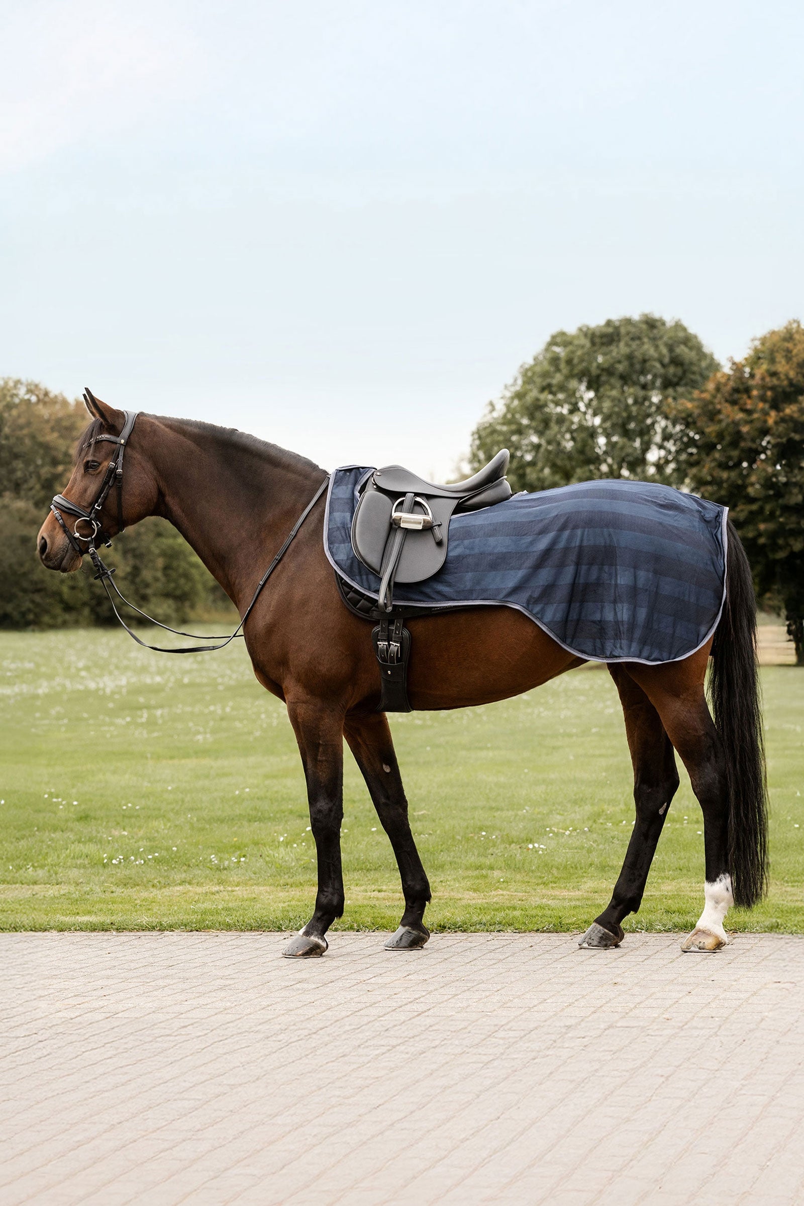 Waldhausen Economic Fly Exercise Sheet Horse Rugs