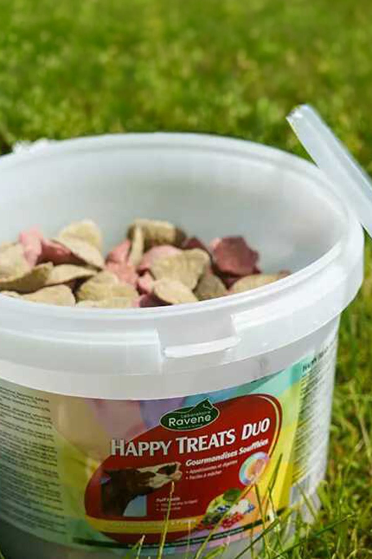RAVENE Happy Treats Duo, 2 kg Horse Feed & Nutrition