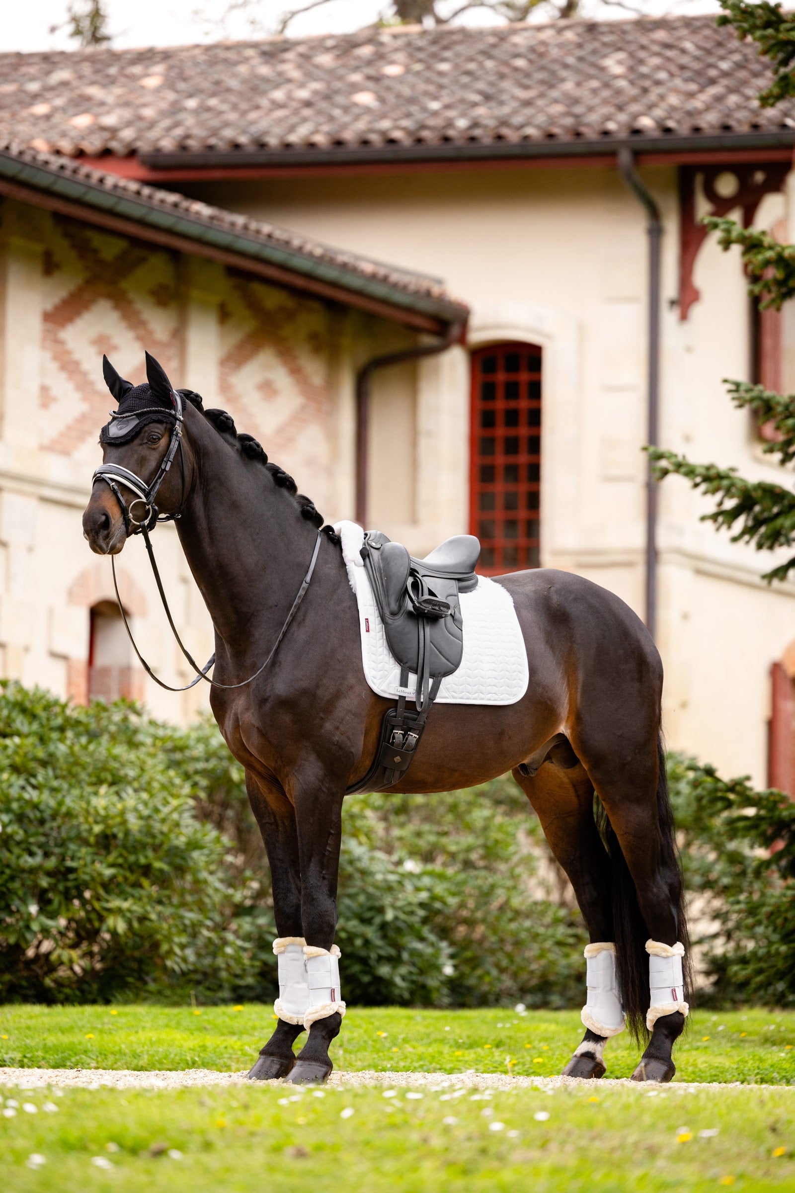 LeMieux Merino+ Dressage Saddle Pad half lined Saddle Pads