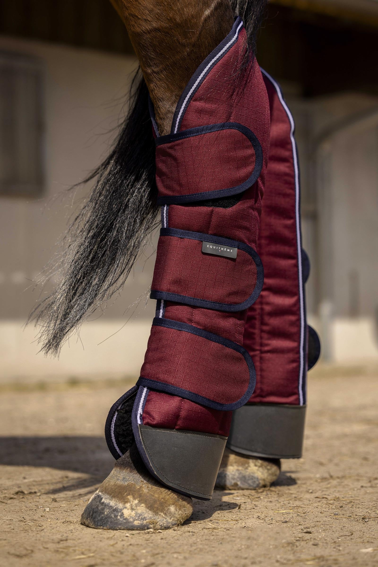 Equi Theme EQUITHÈME TYREX 1200D wzmocnione ochraniacze transportowe Leg & Hoof Protection