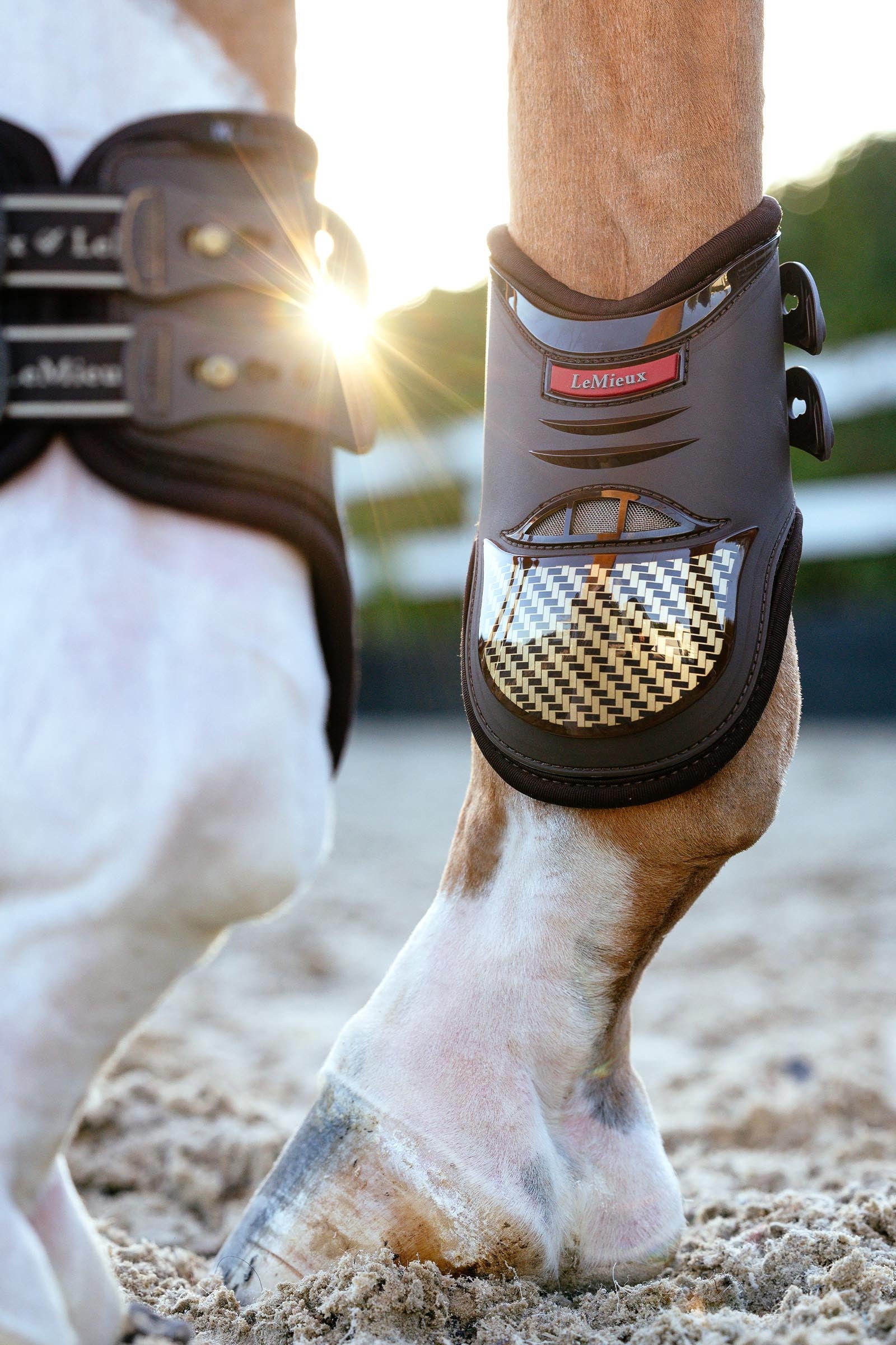 LeMieux EXO Flex Fetlock Boots Leg & Hoof Protection