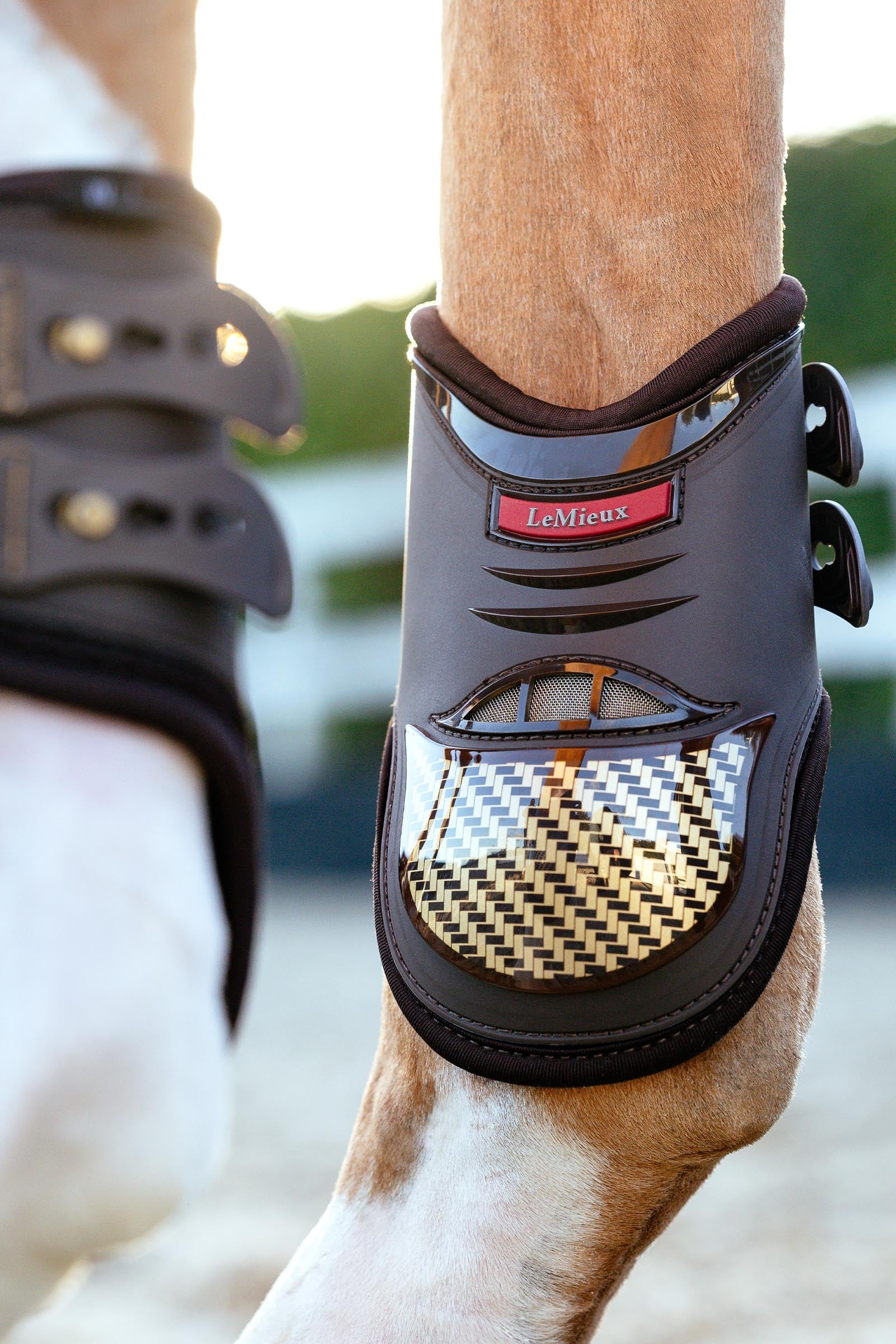 LeMieux EXO Flex Fetlock Boots Leg & Hoof Protection
