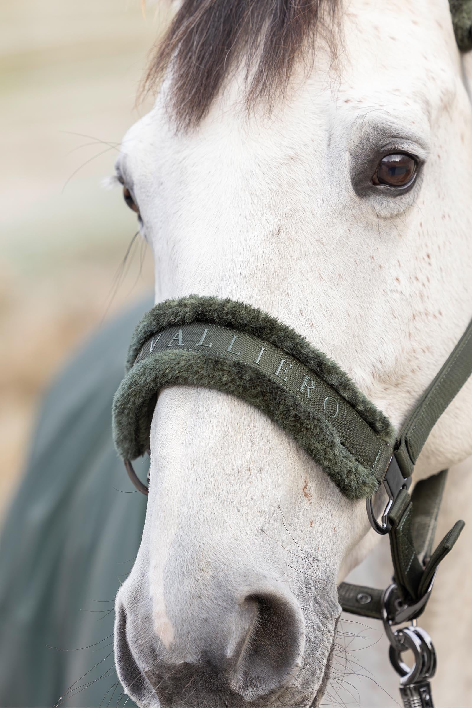 Covalliero Halter Halters & Leads