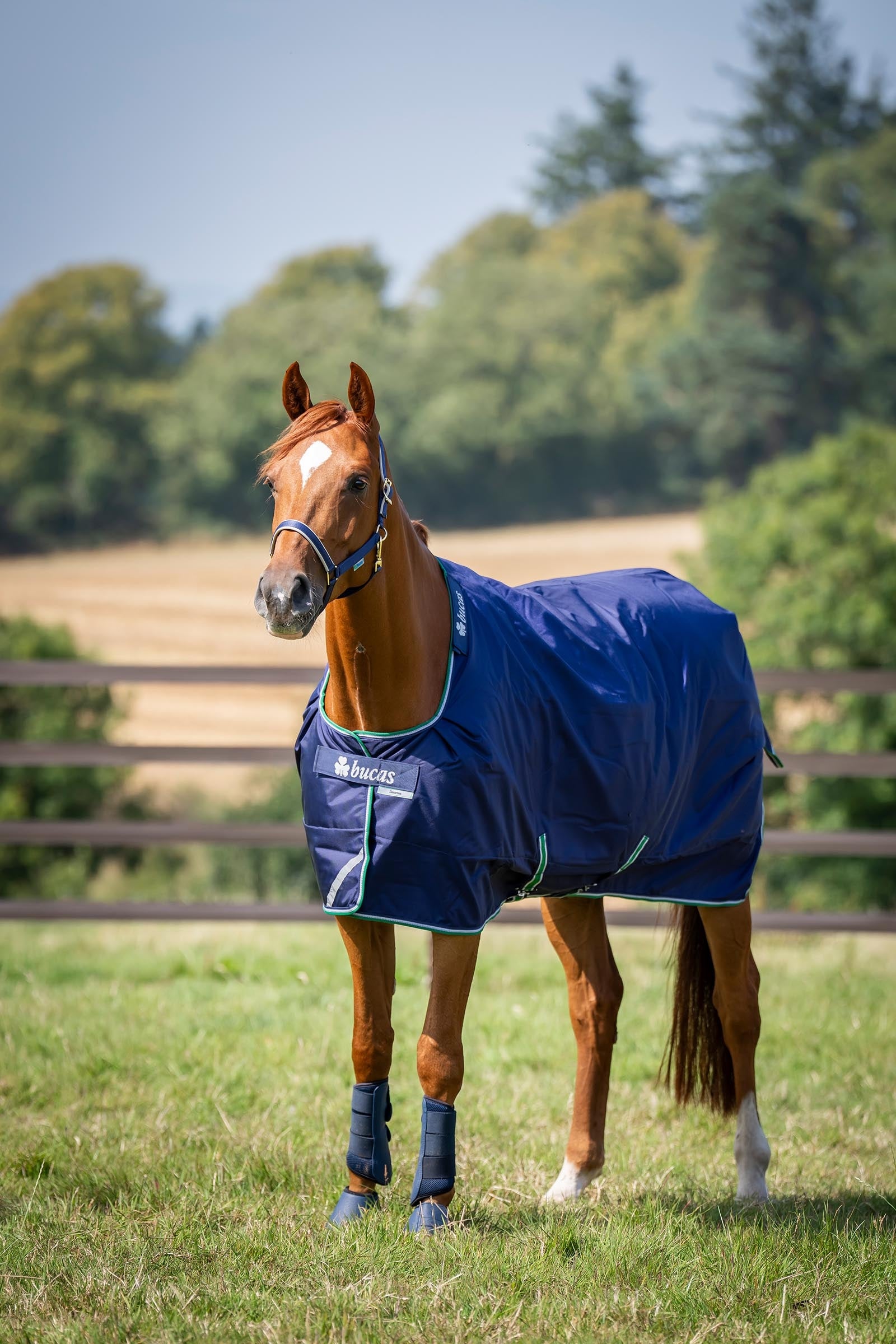Bucas Smartex Rain Pony Turnout Rug with Cooling Function, 0g Horse Rugs