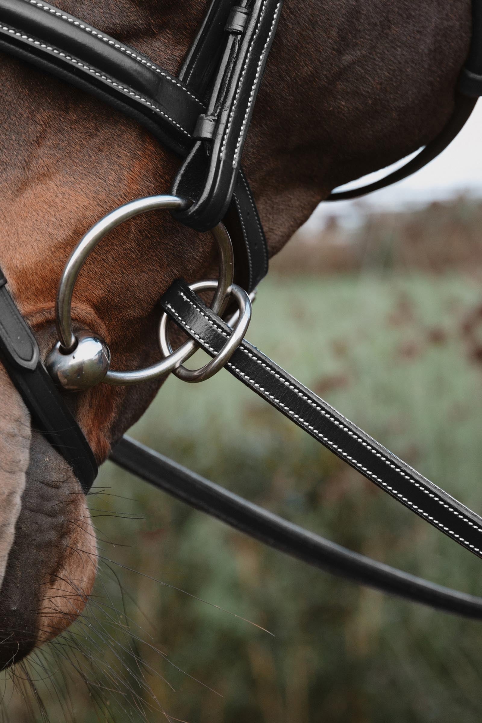 Dy'on Working 1/2" Rubber Reins With 7 Leather Stops Bridles & Reins