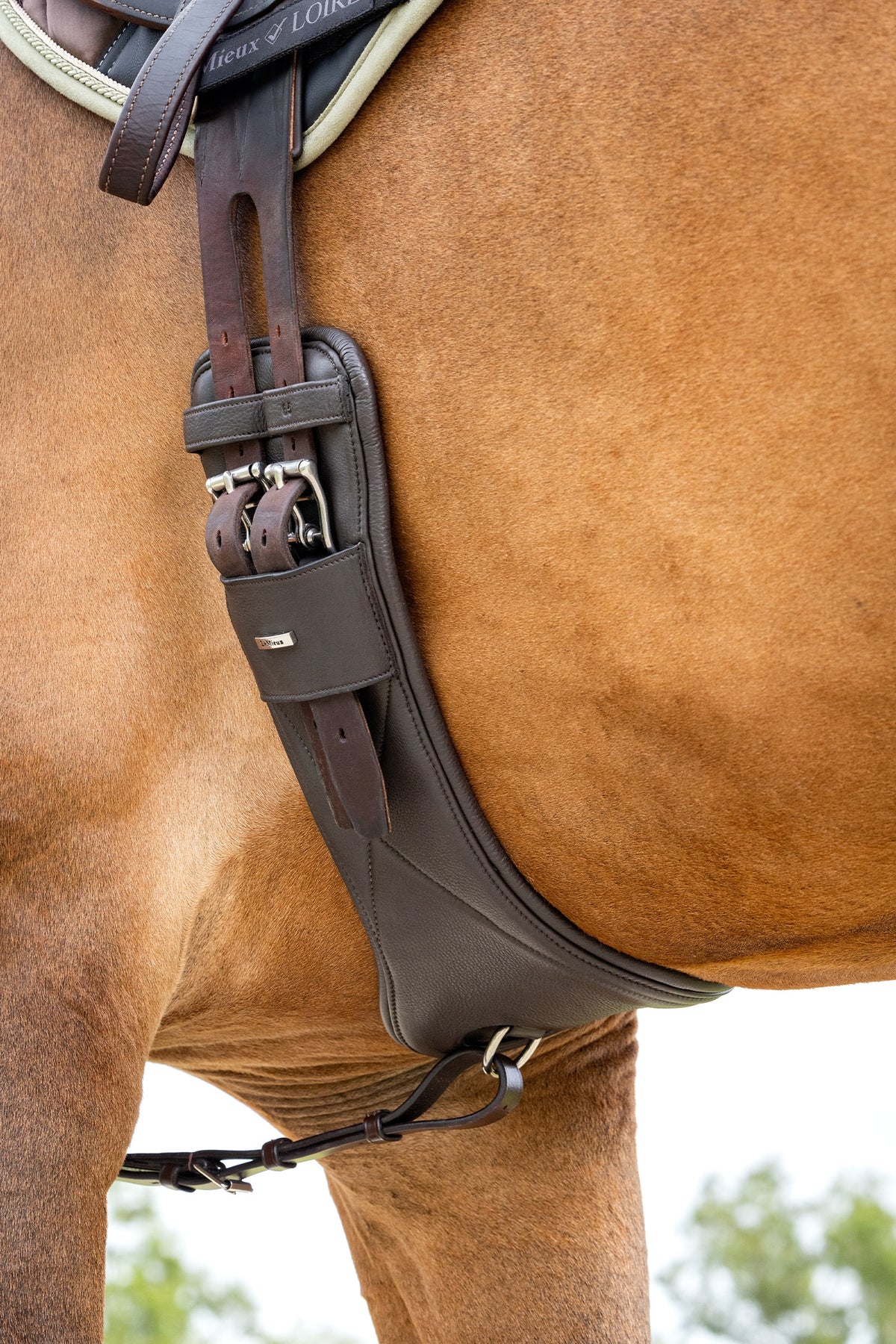 LeMieux Arika Contoured Dressage Girth Saddles, Girths & Stirrups