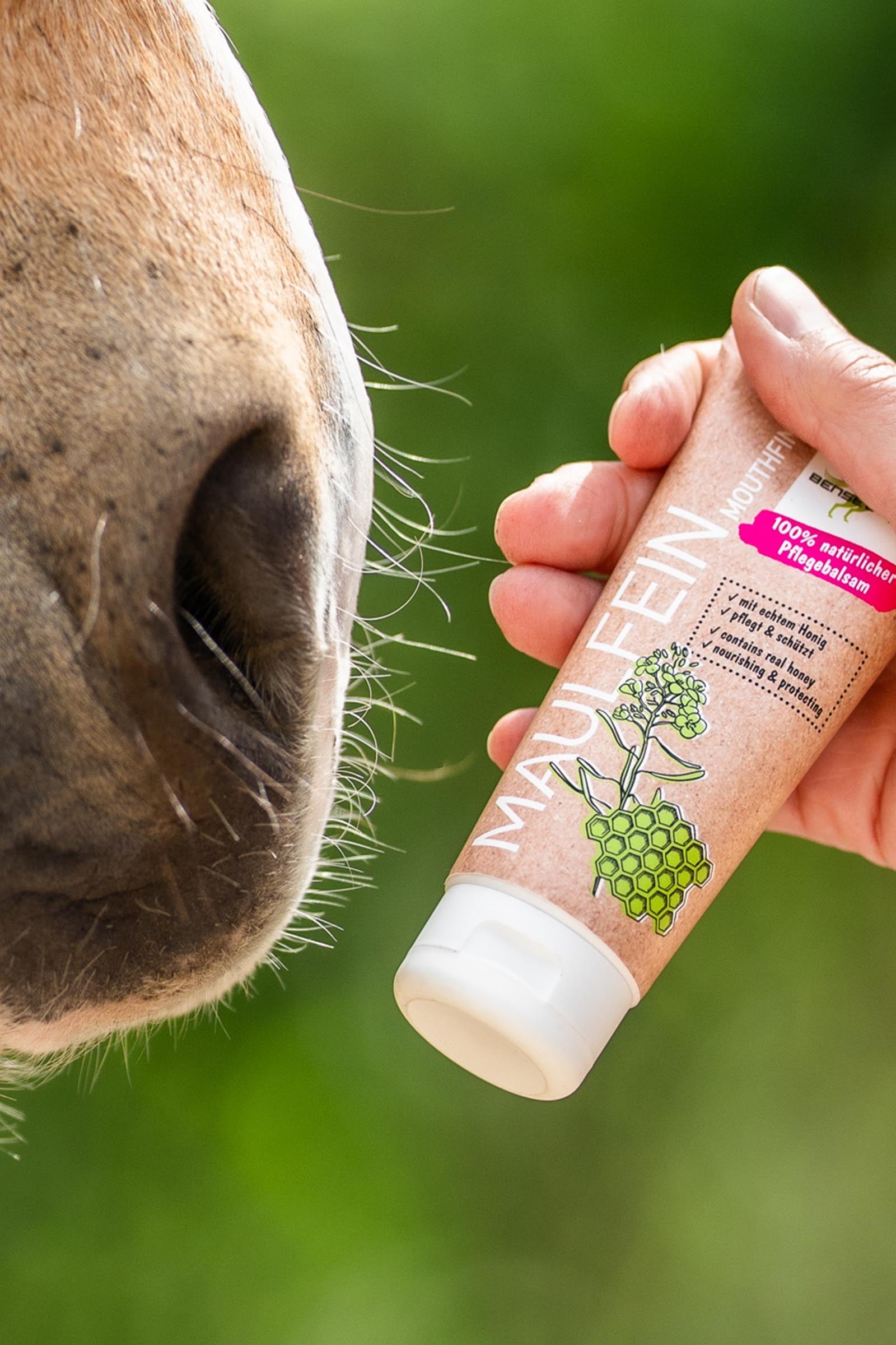Bense & Eicke MouthFine, 100 ml Horse Health Care