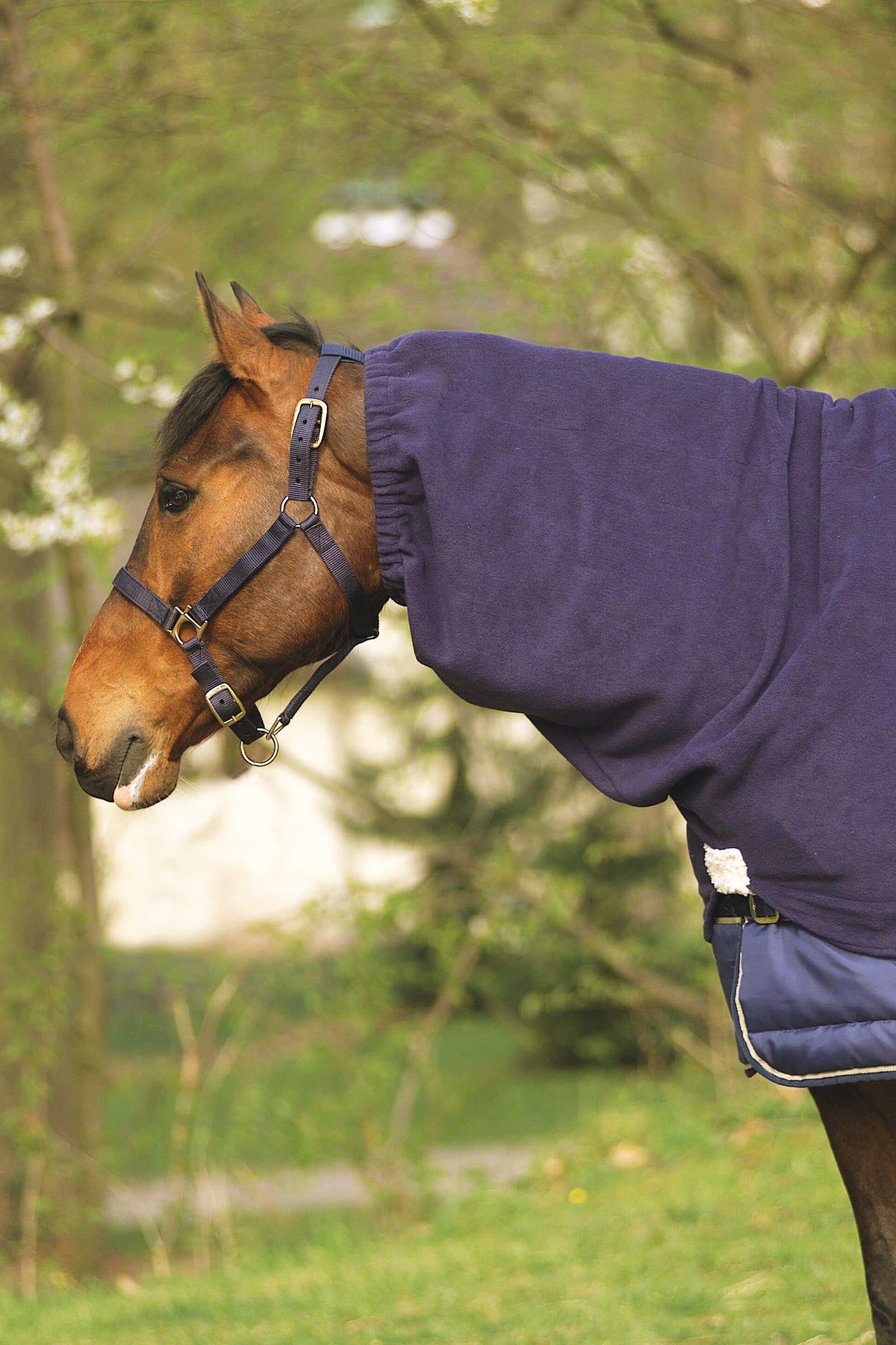 EQUITHÈME Polar Fleece kaptur na szyję Derki