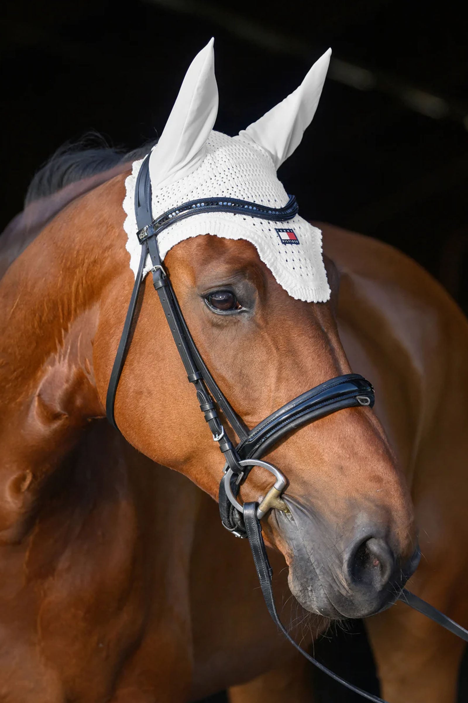 Tommy Hilfiger Equestrian Lexington Fly Hood Saddle Pads