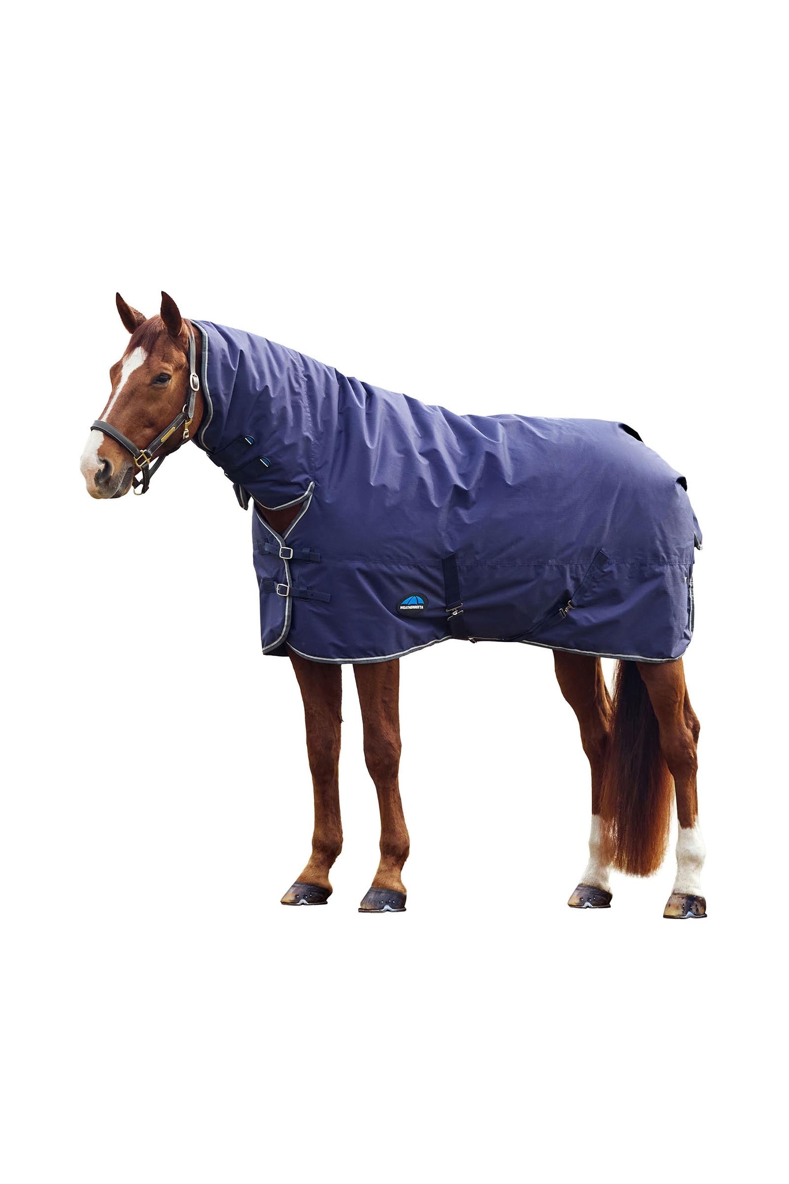 Weatherbeeta Comfitec Tyro Derka wyjściowa kombinowana Combo Neck 50g Derki