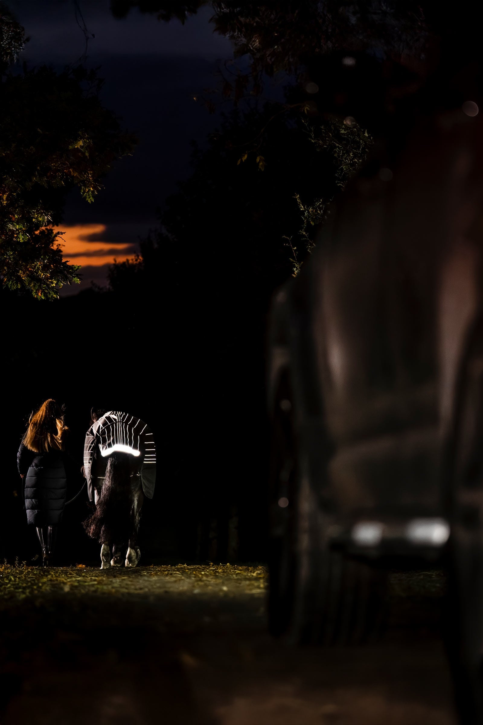 Horseware Amigo 1200D FieldSafe Reflectech Plus Turnout Rug, 100 g Horse Rugs