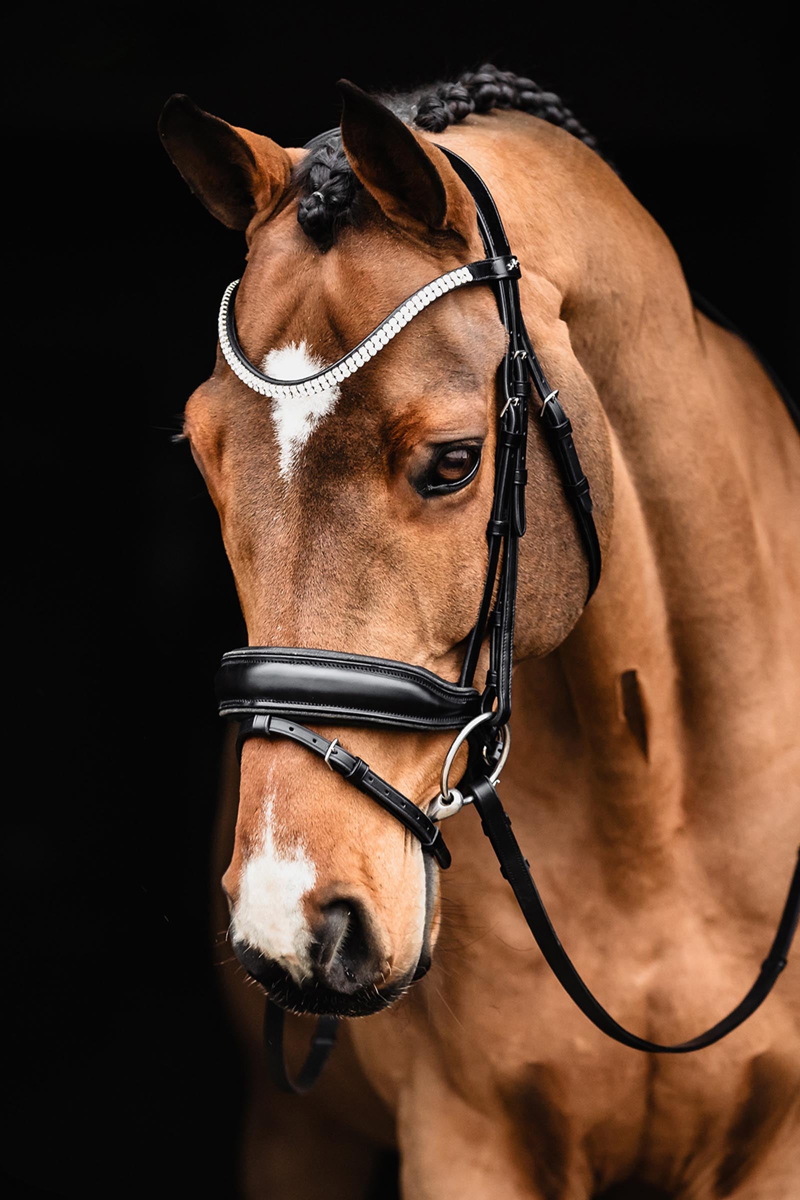 Schockemöhle Sports Schockemoehle Sports SP Valencia Bridle Bridles & Reins