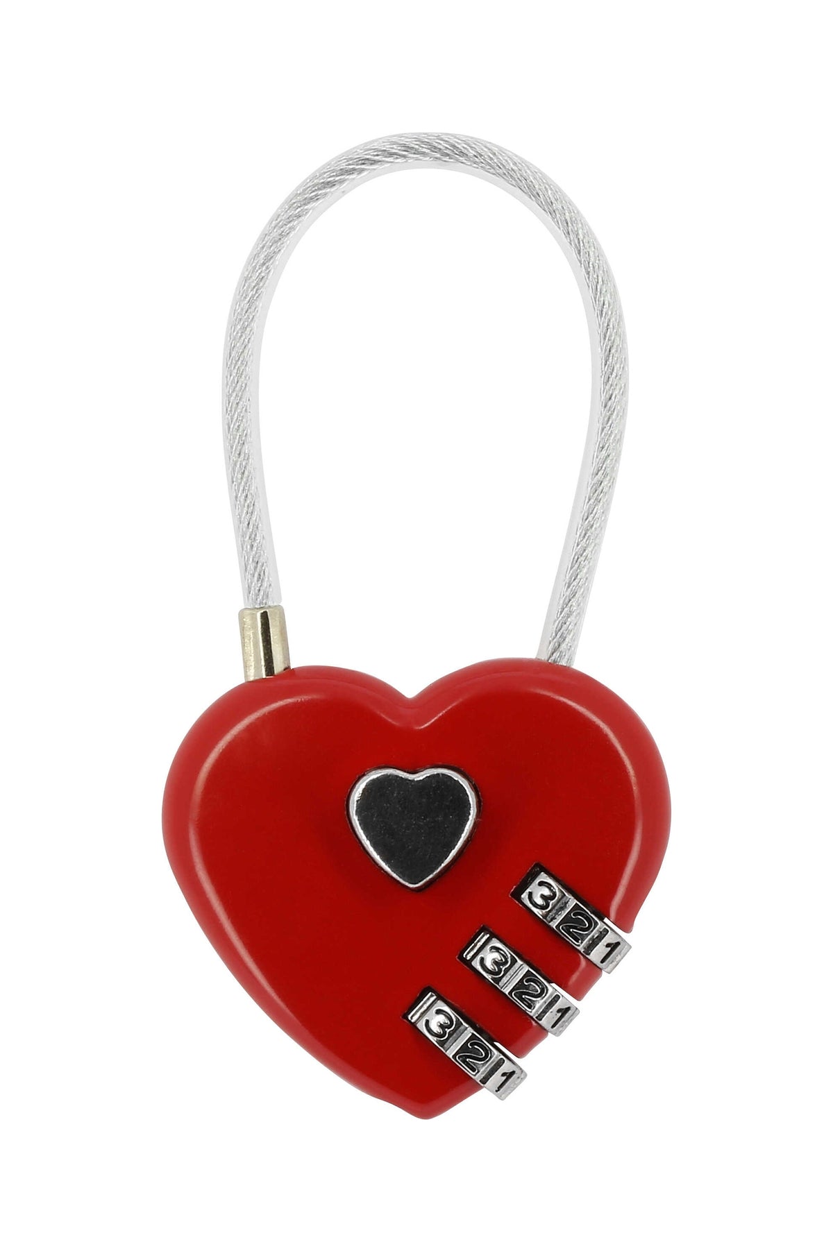 HIPPOTONIC HEART Padlock For Grooming Box Horse Grooming Tools
