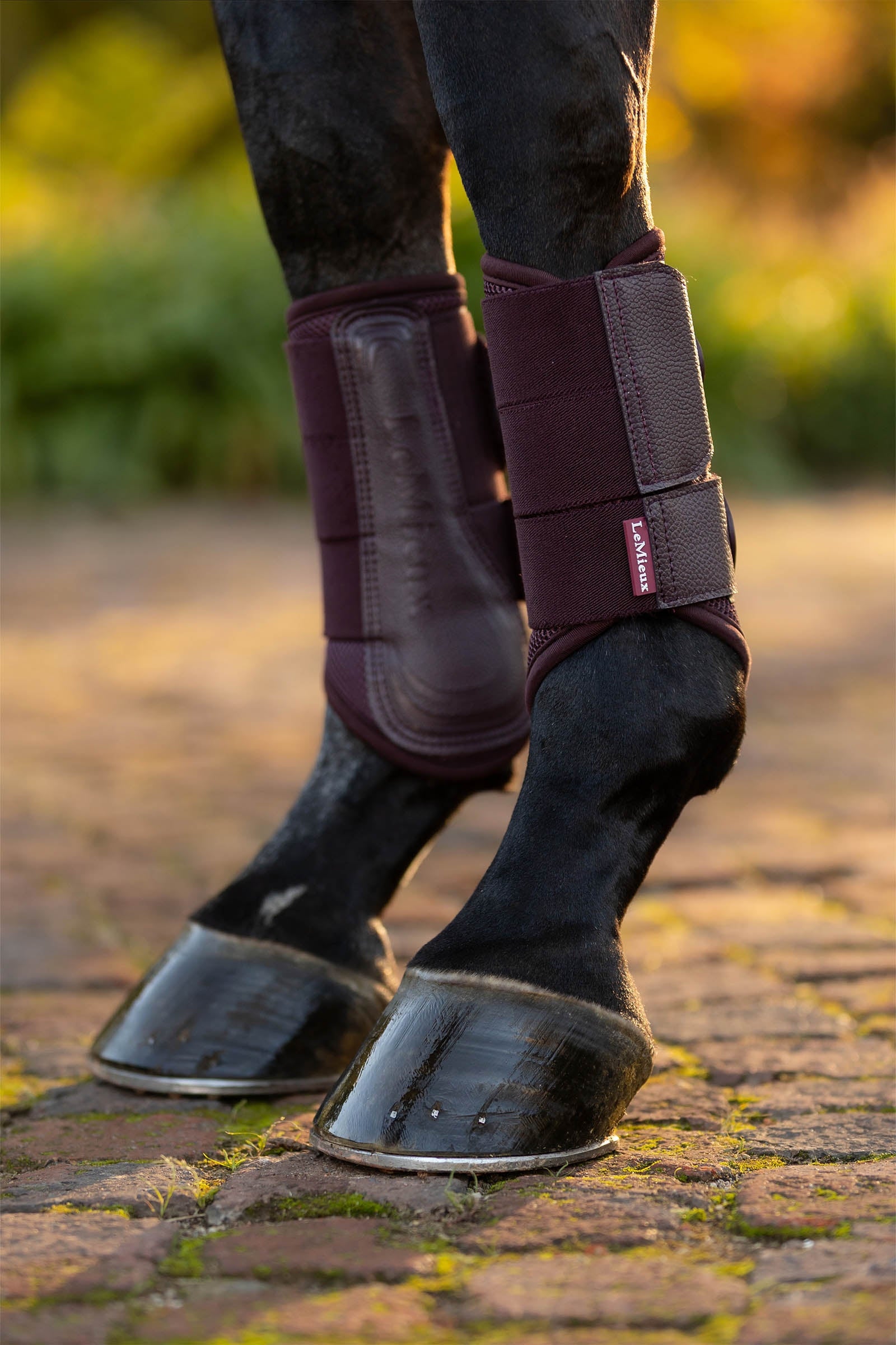 LeMieux Arika Mesh Brushing Boots Leg Protection & Hoof Protection for Horses