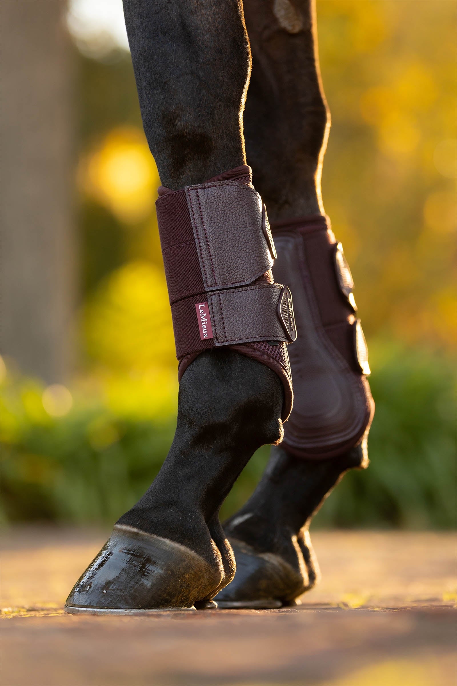 LeMieux Arika Mesh Brushing Boots Leg Protection & Hoof Protection for Horses