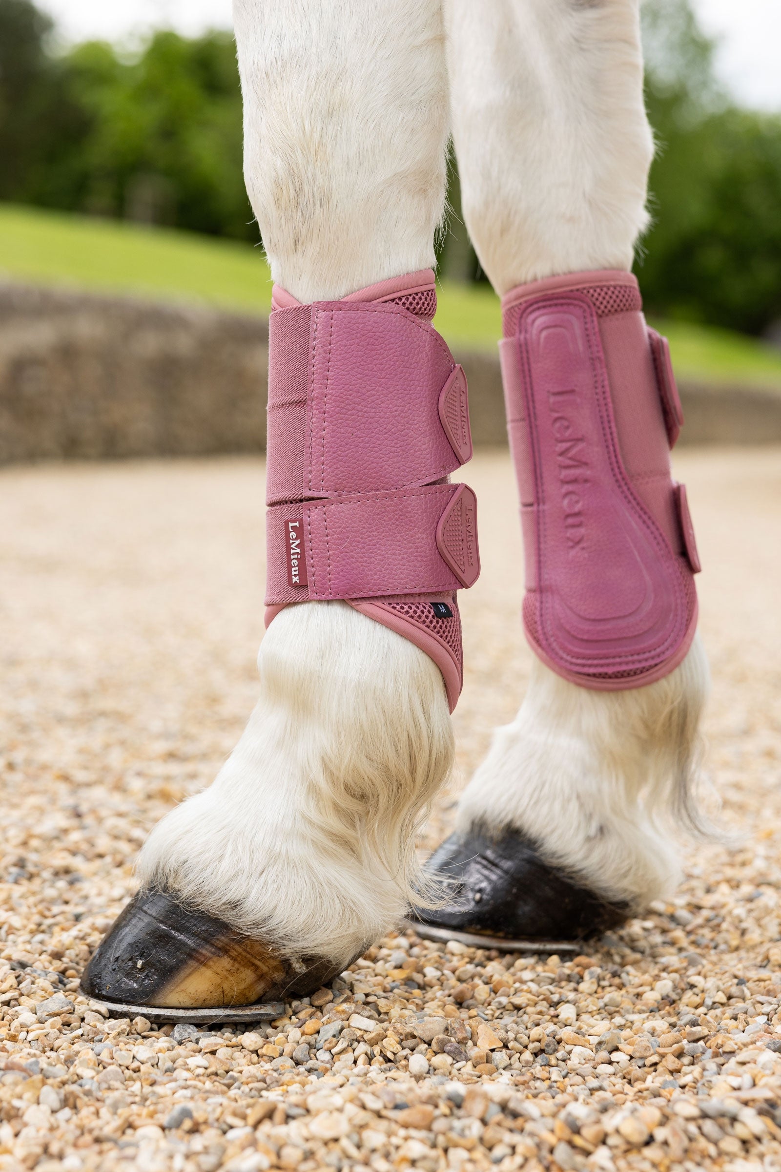 LeMieux Arika Mesh Brushing Boots Leg Protection & Hoof Protection for Horses