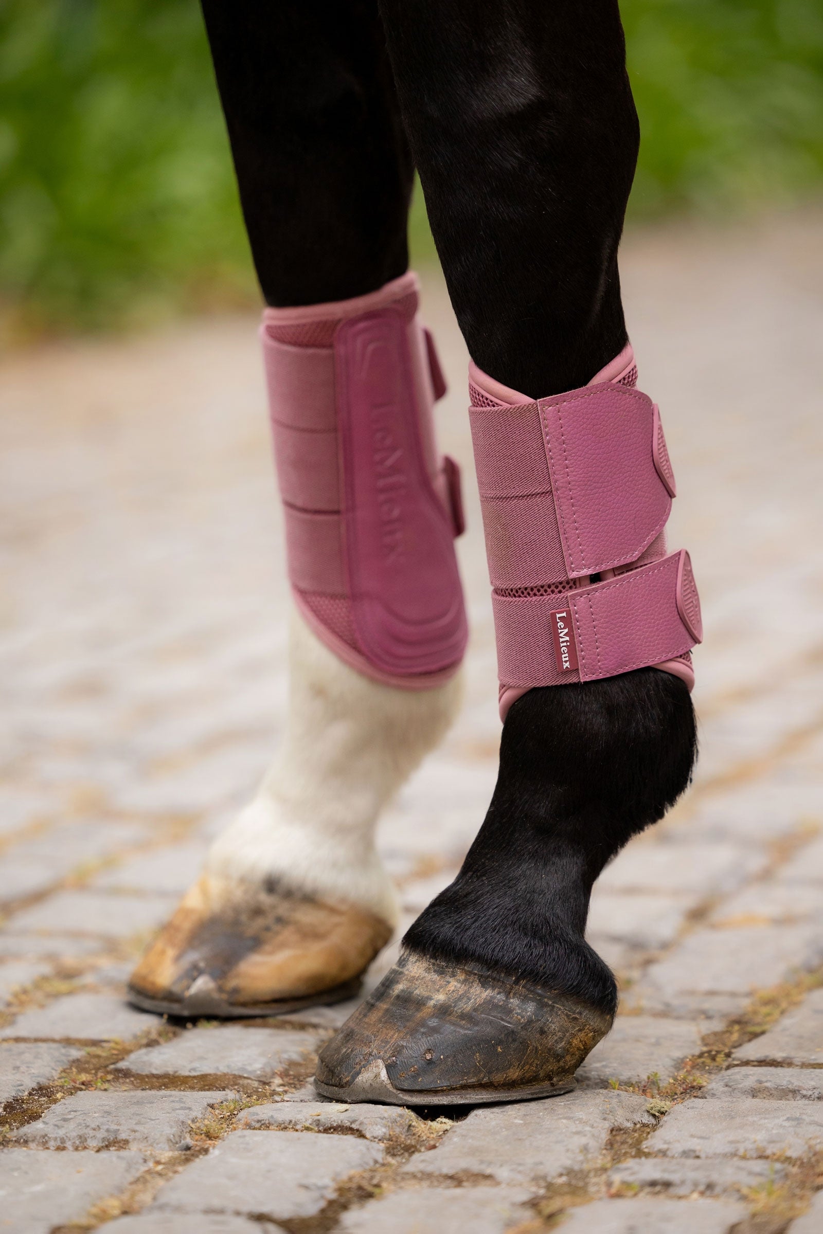 LeMieux Arika Mesh Brushing Boots Leg Protection & Hoof Protection for Horses