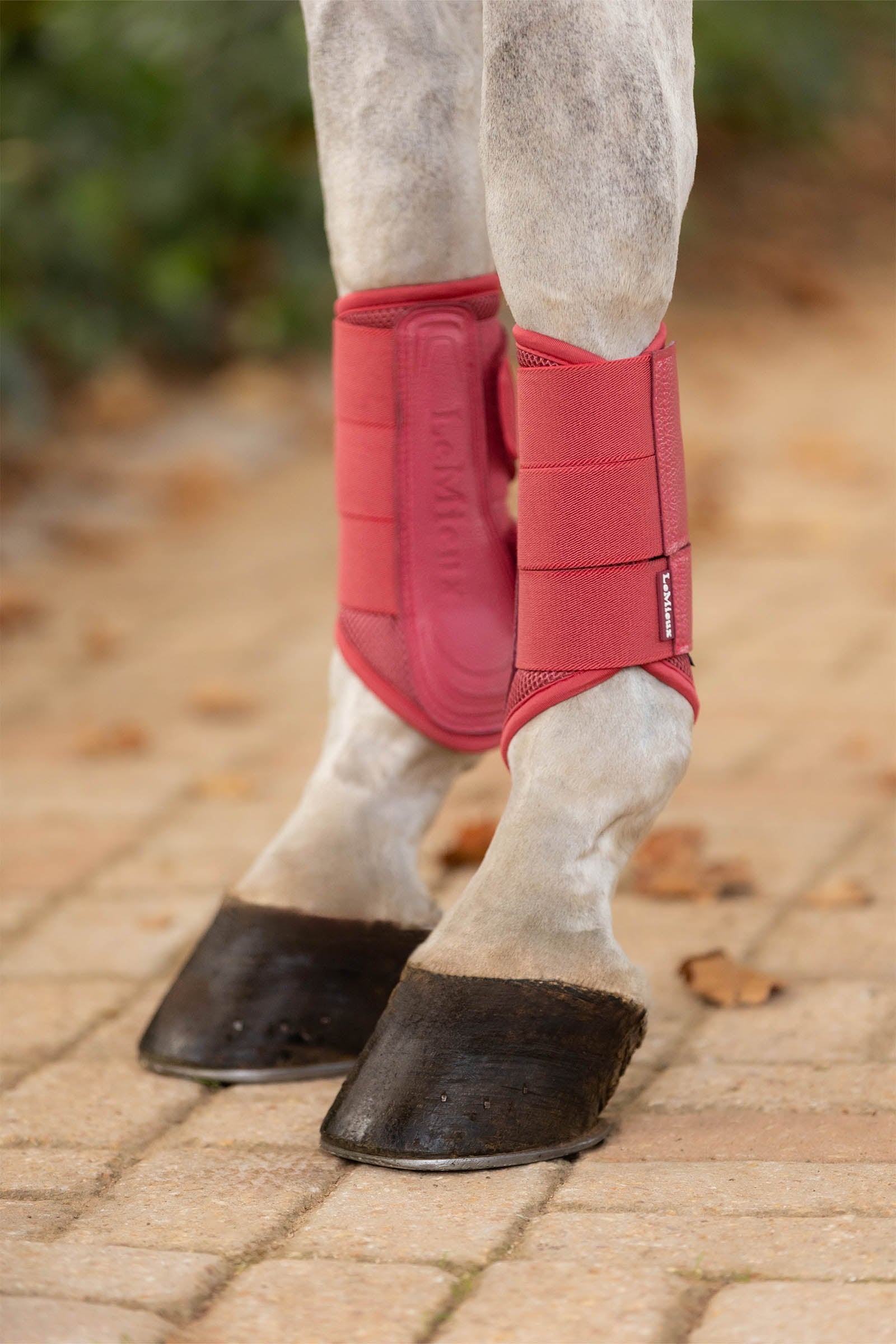 LeMieux Arika Mesh ochraniacze ujeżdżeniowe Leg Protection & Hoof Protection for Horses