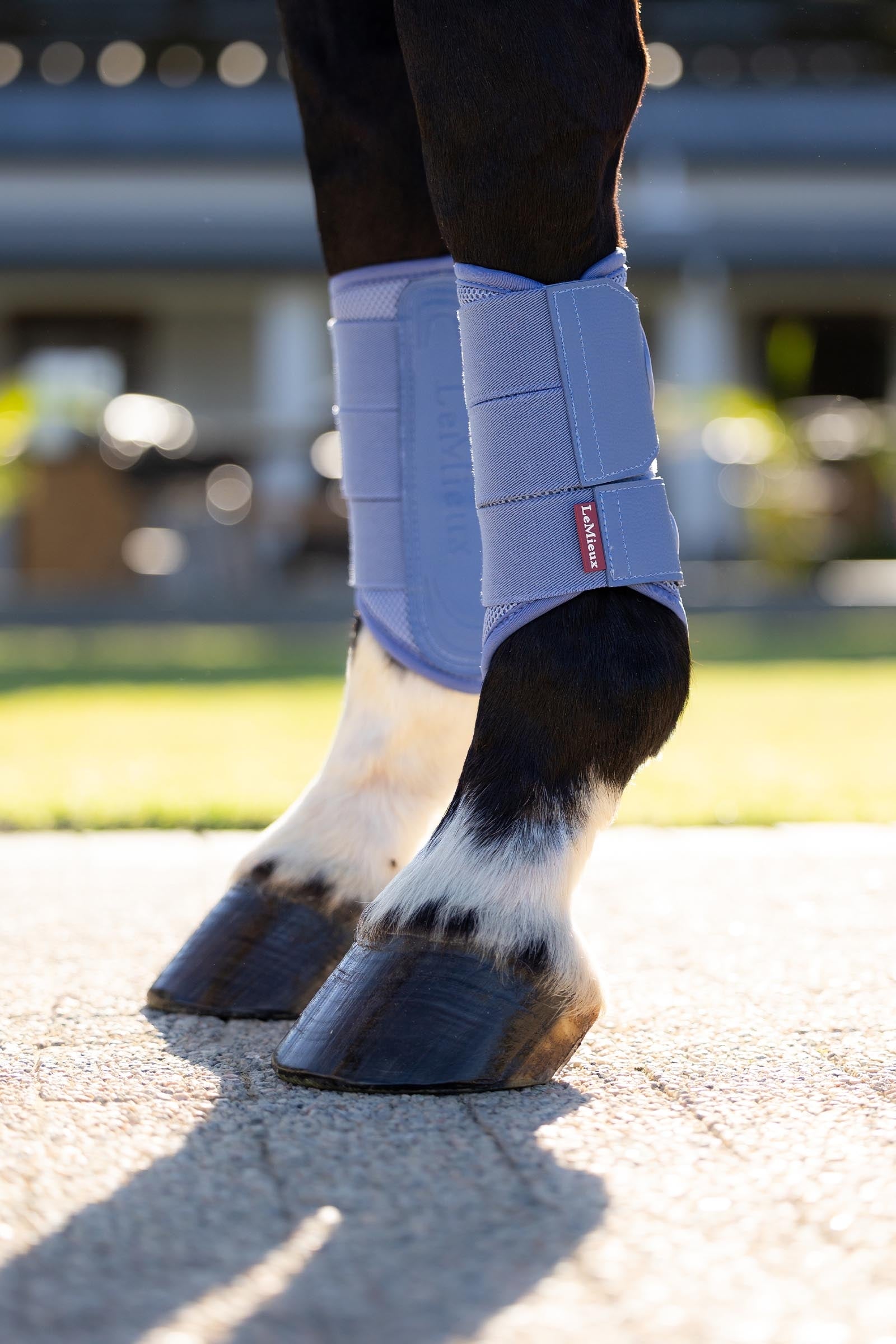 LeMieux Arika Mesh Brushing Boots Leg & Hoof Protection