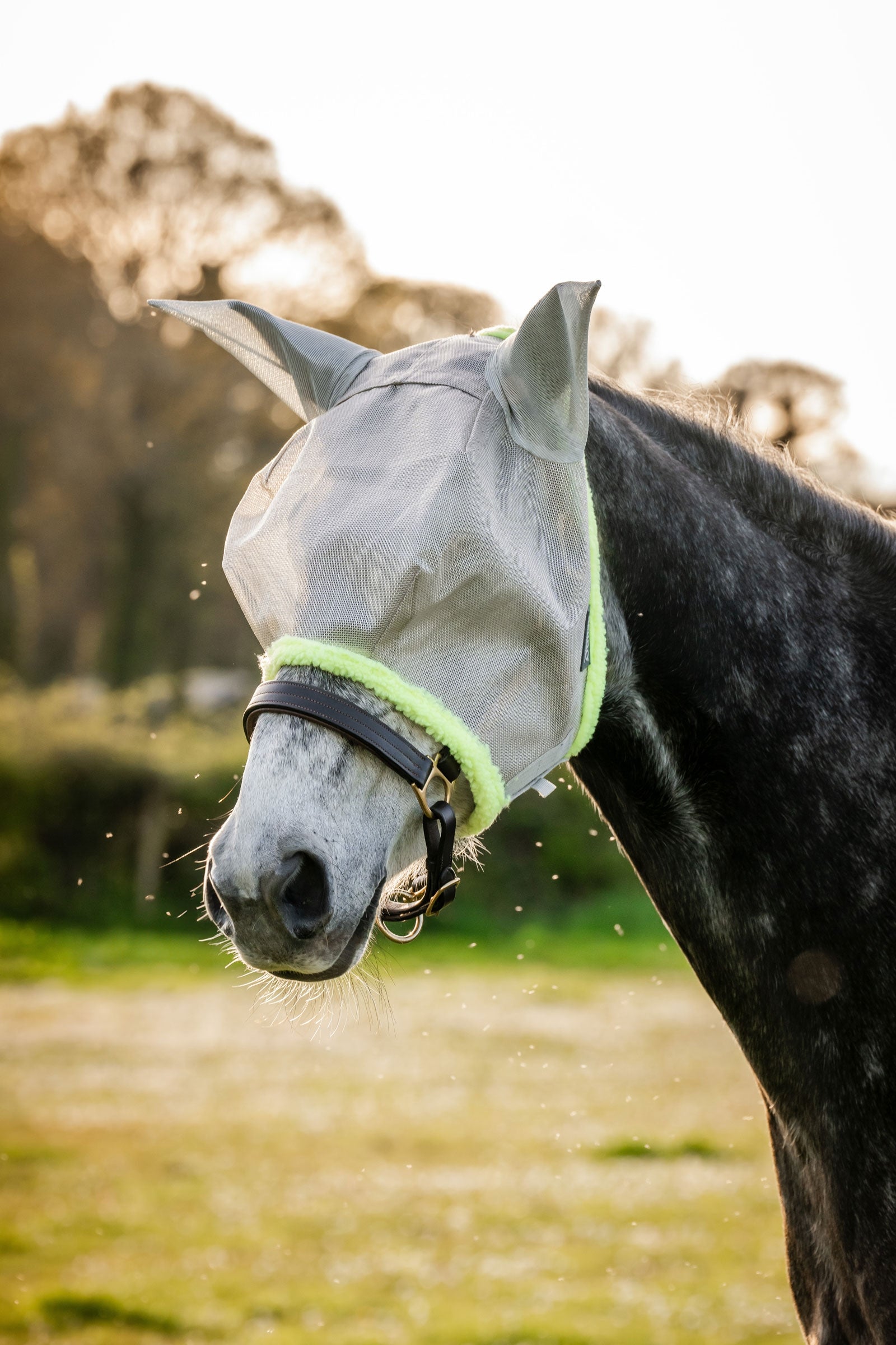 Horseware Amigo Maska konia Ochrona koni przed owadami