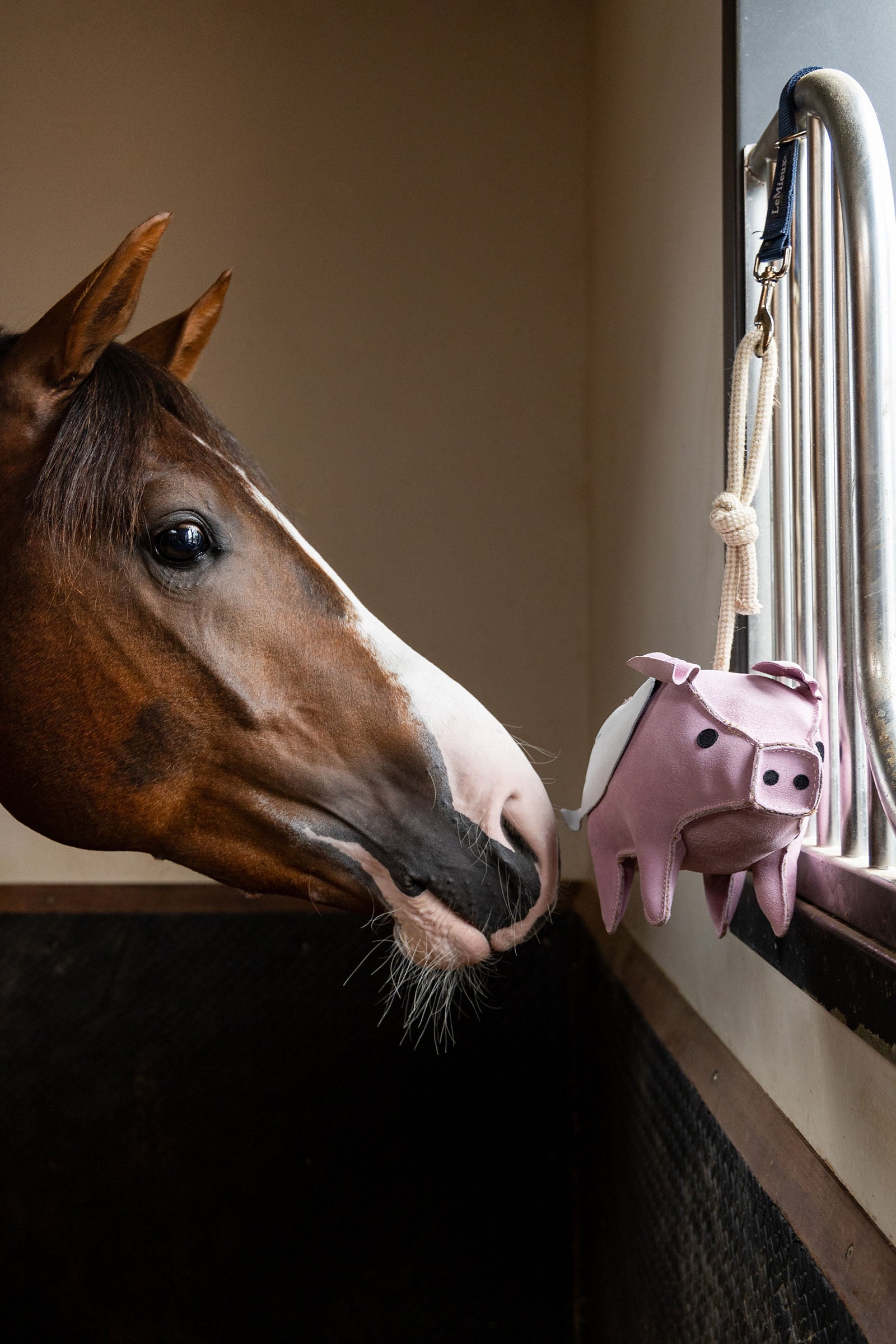 LeMieux Horse Toy Flying Pig Horse Toys & Riding Arena Supplies