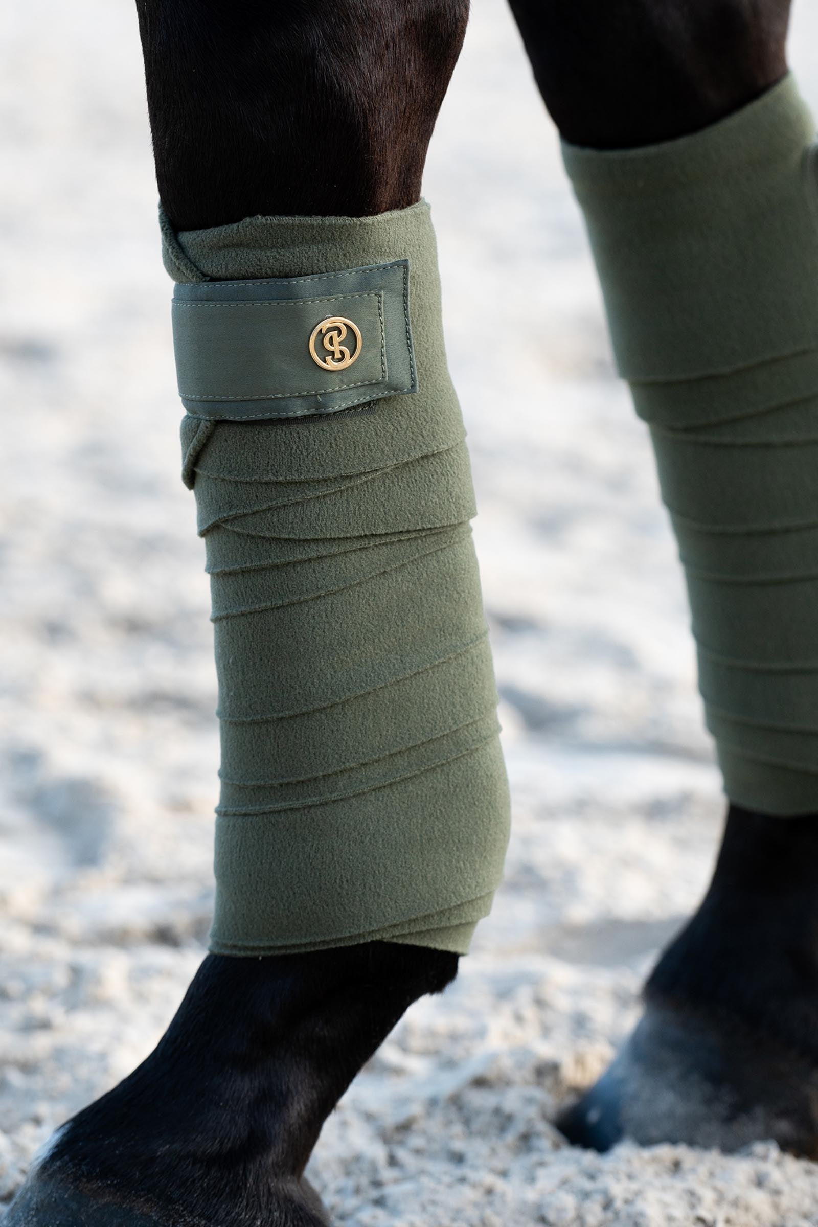 PS of Sweden Polos Signature Leg & Hoof Protection
