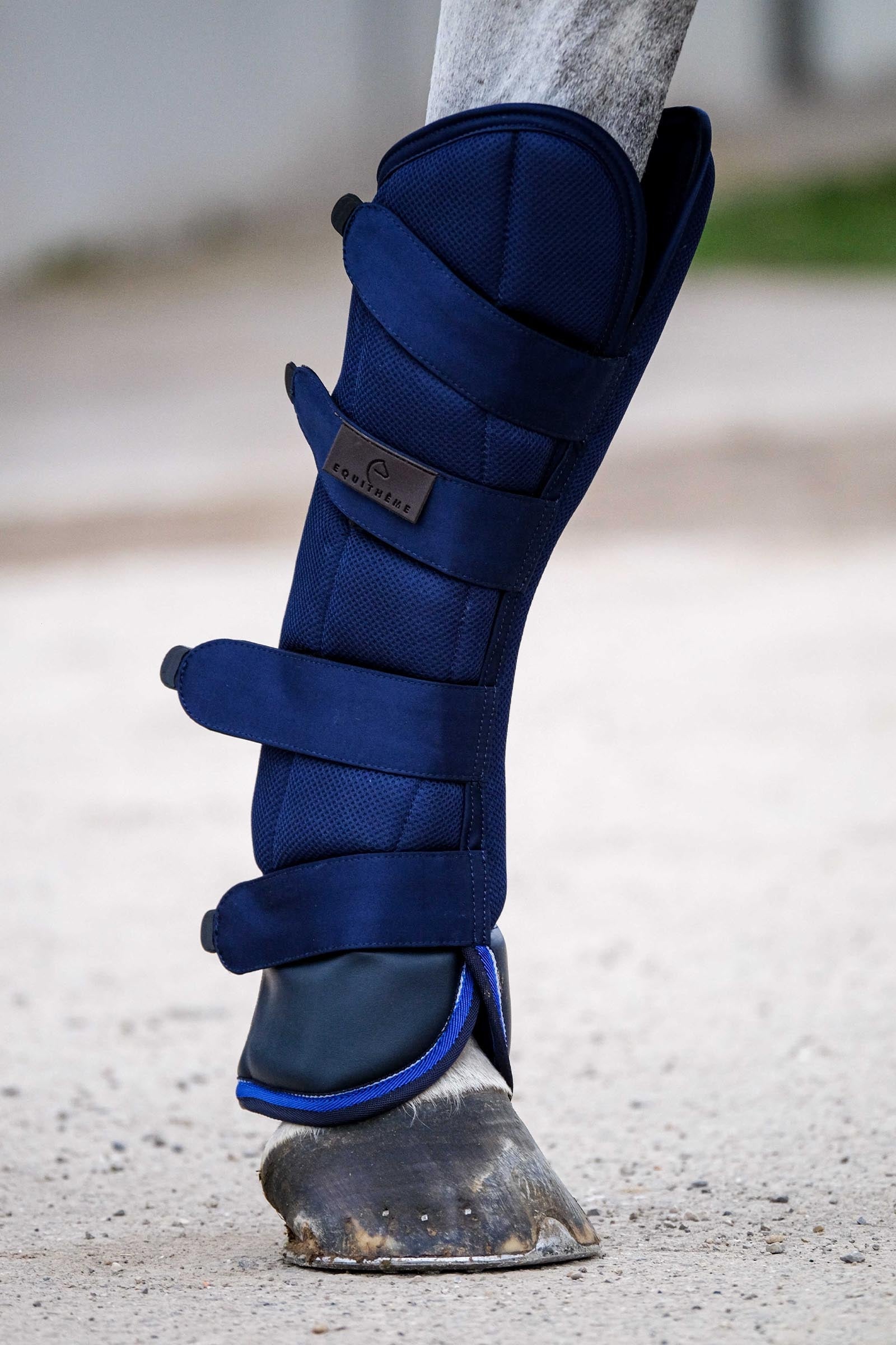 Equi Theme EQUITHÈME Classic ochraniacze transportowe Leg & Hoof Protection