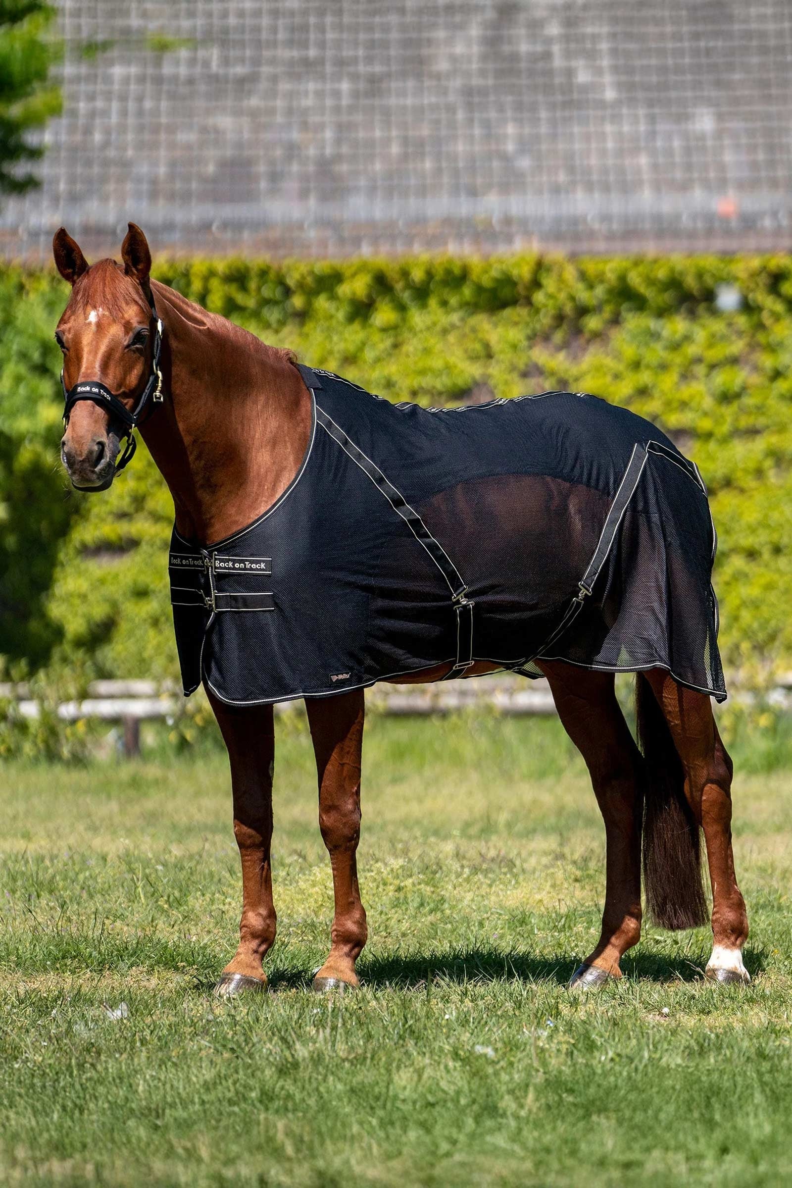Back on Track Sienna Cooler Horse Rugs