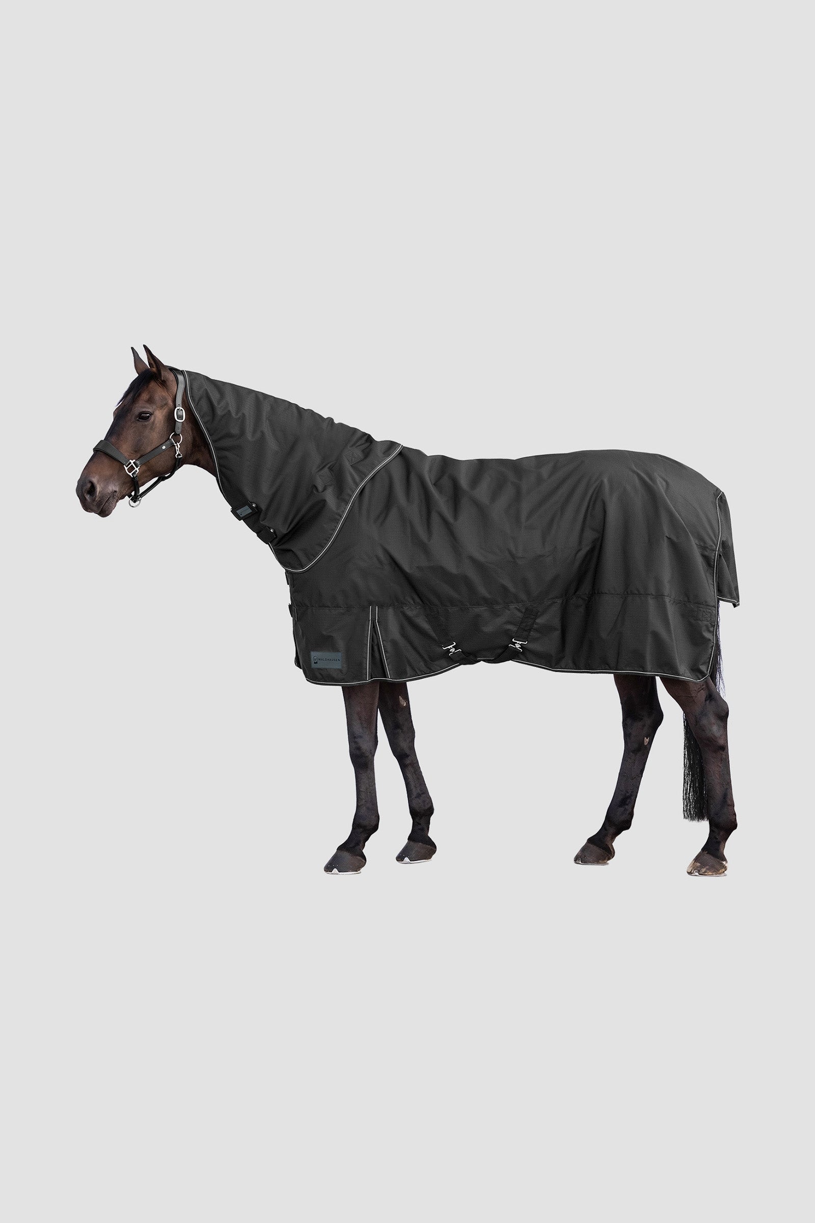 Waldhausen 600D Outdoor Neck Rug, 0 g Horse Rugs