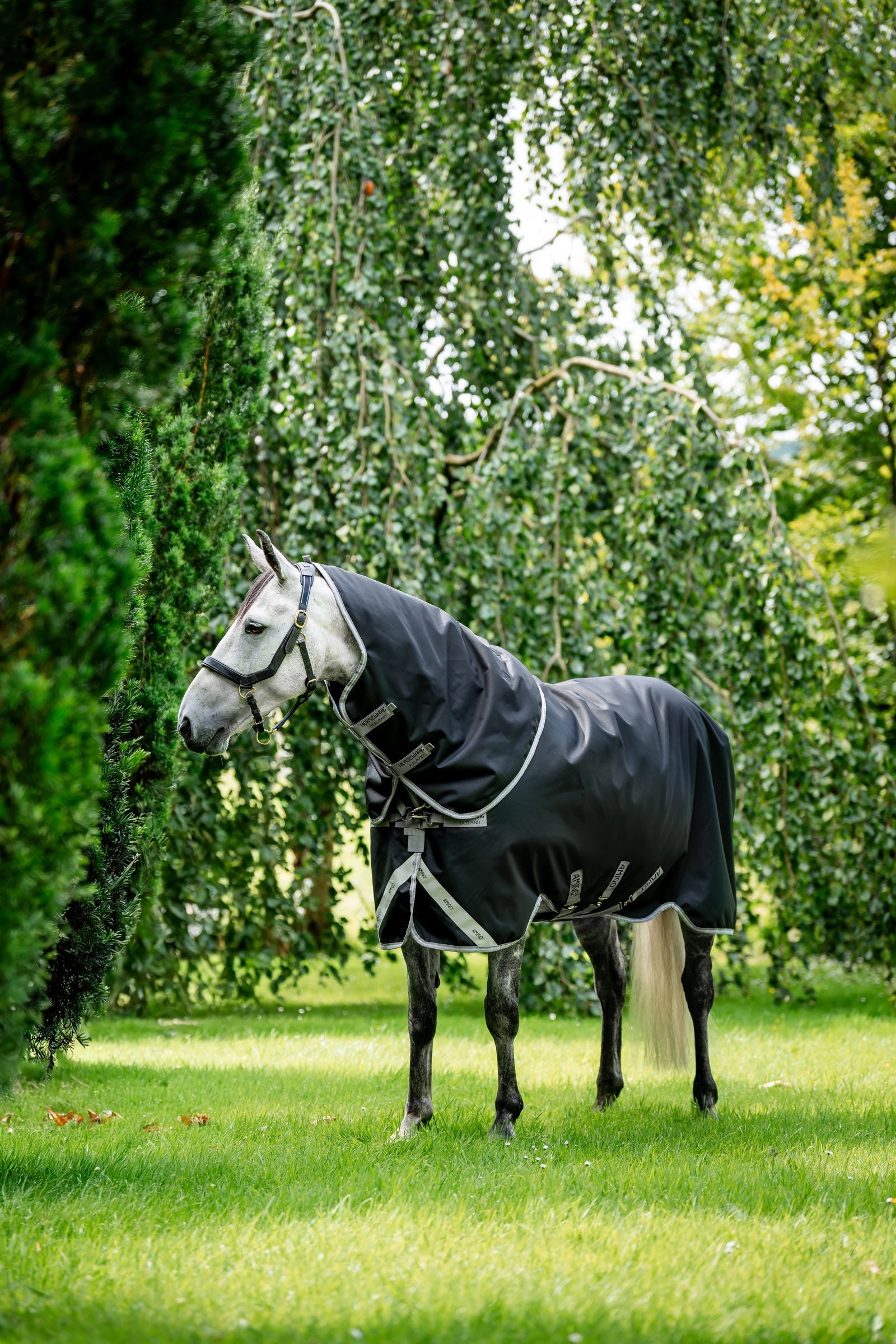 Horseware Amigo 1200D Plus derka padokowa, 50 g Derki