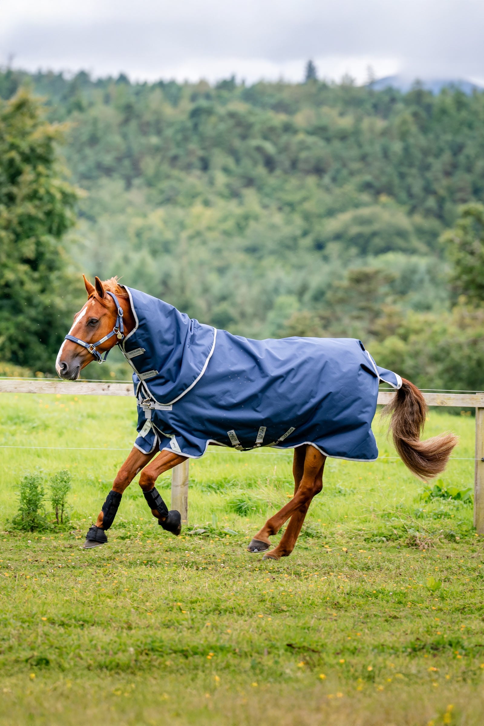 Horseware Amigo 1200D Plus derka padokowa, 50 g Derki