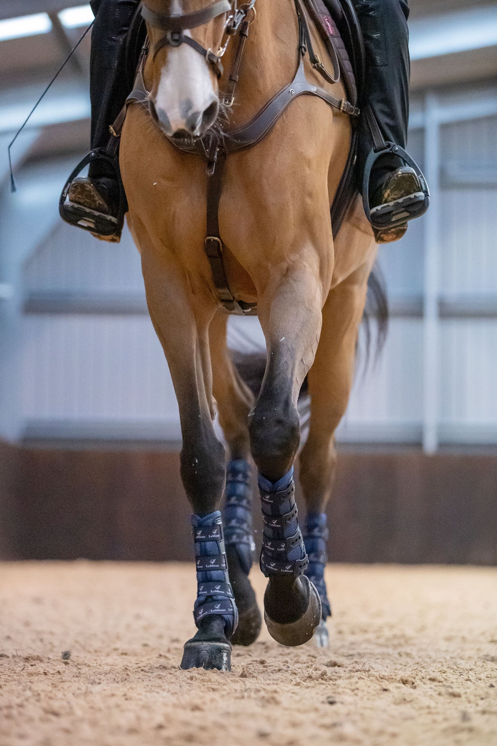 LeMieux Ultra Mesh Snug Boots, Front Leg Protection & Hoof Protection for Horses