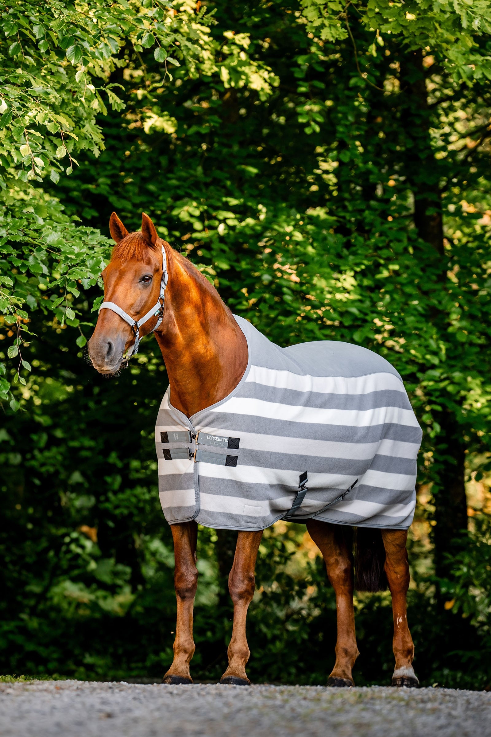 Horseware Newmarket Fleece Derka osuszająca Derki