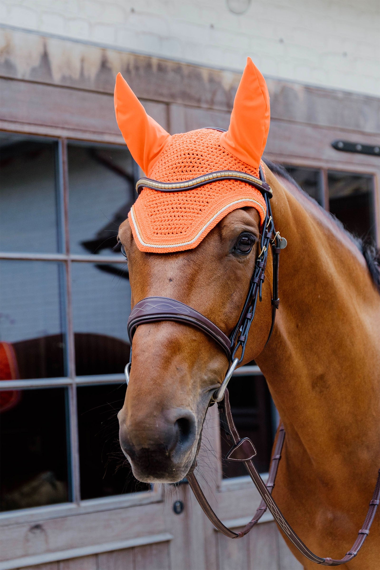 Kentucky Horsewear Fly veil Wellington diamond rope Soundless Saddle Pads