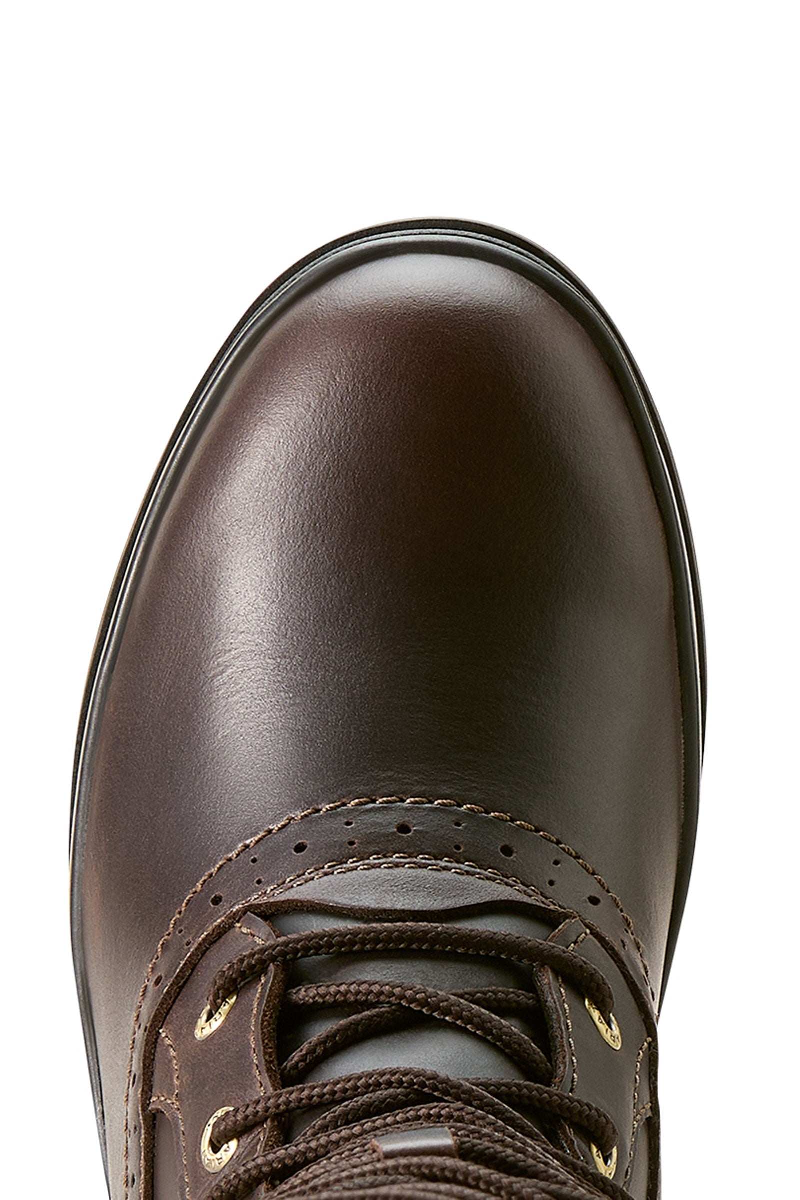 Ariat Wythburn II Sherpa Waterproof Boots Riding Boots & Riding Shoes