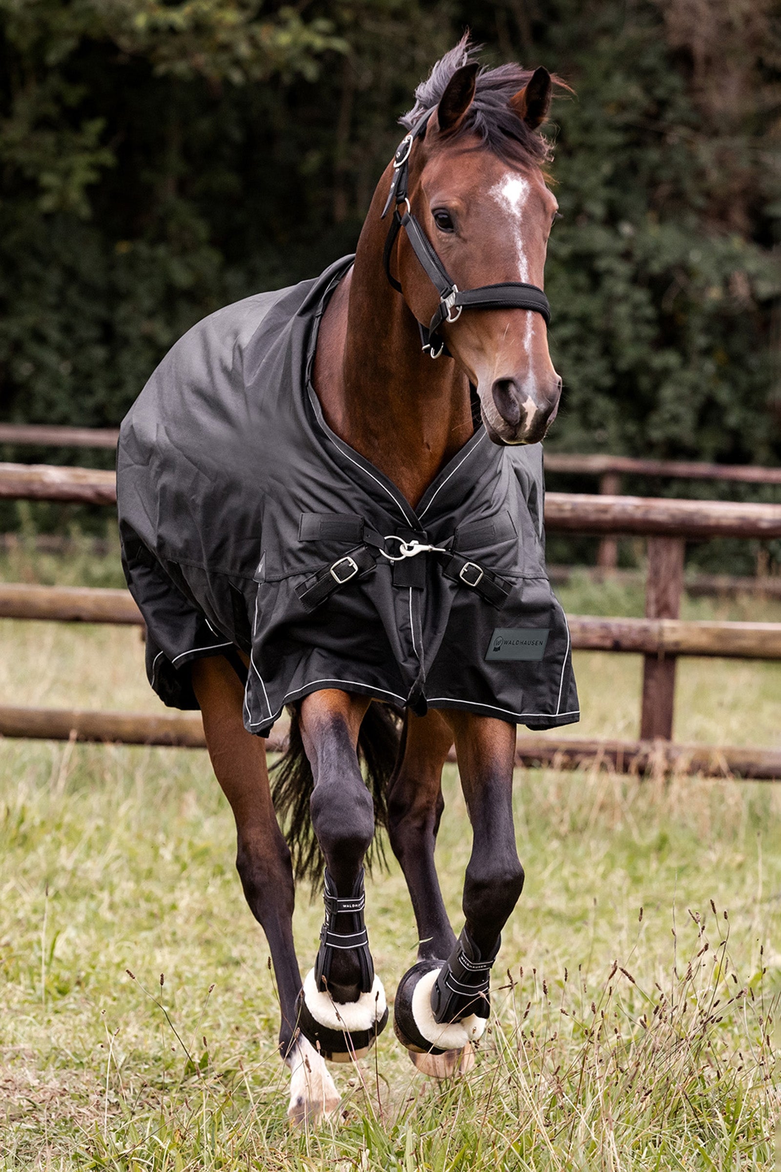 Waldhausen Outdoor Rug Scandic 50g Horse Rugs