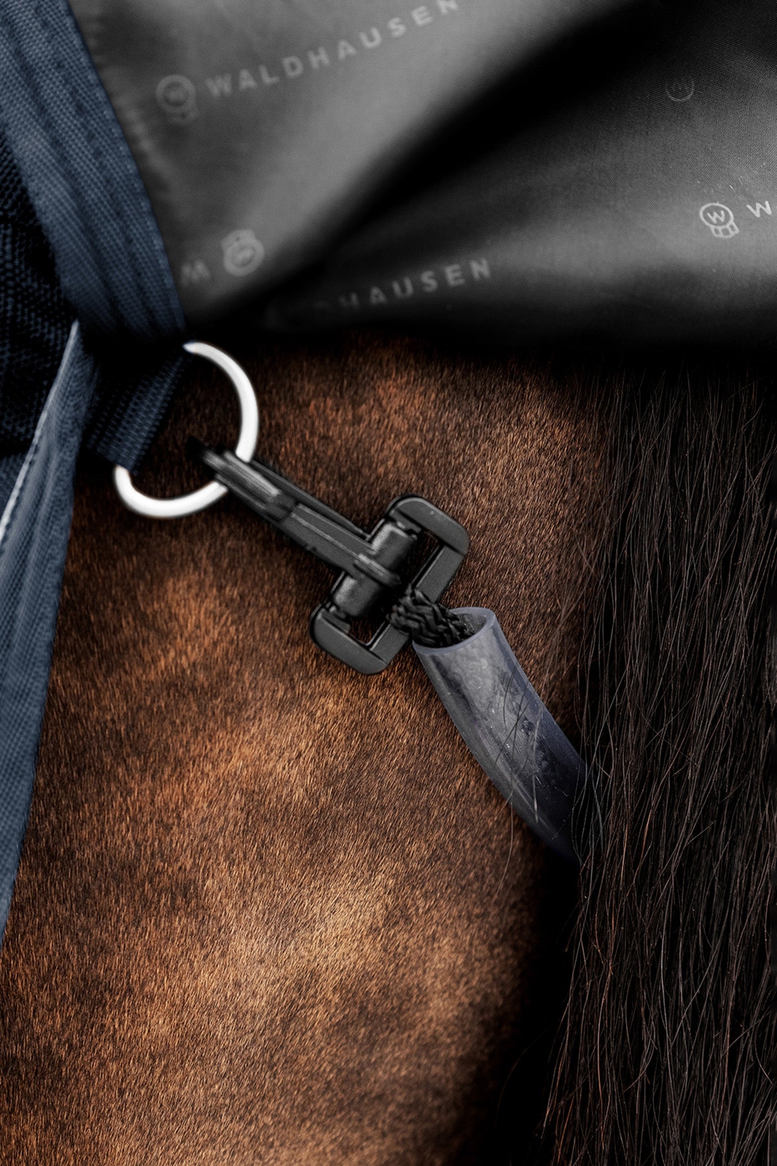 Waldhausen Outdoor Rug Scandic 50g Horse Rugs