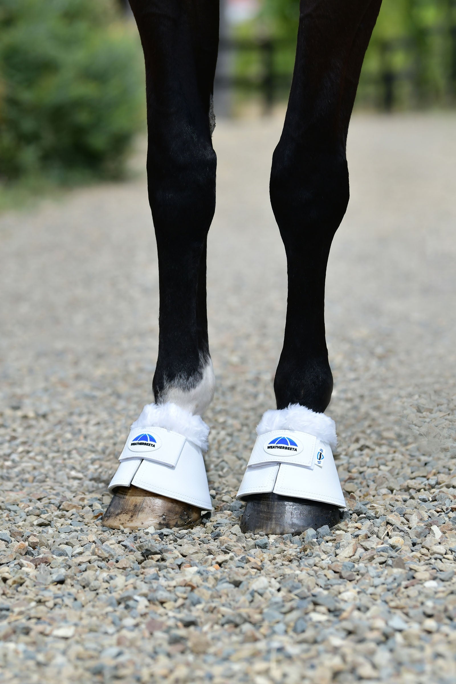 Weatherbeeta Tough-Tec Fleece Trim Bell Boots Leg Protection & Hoof Protection for Horses